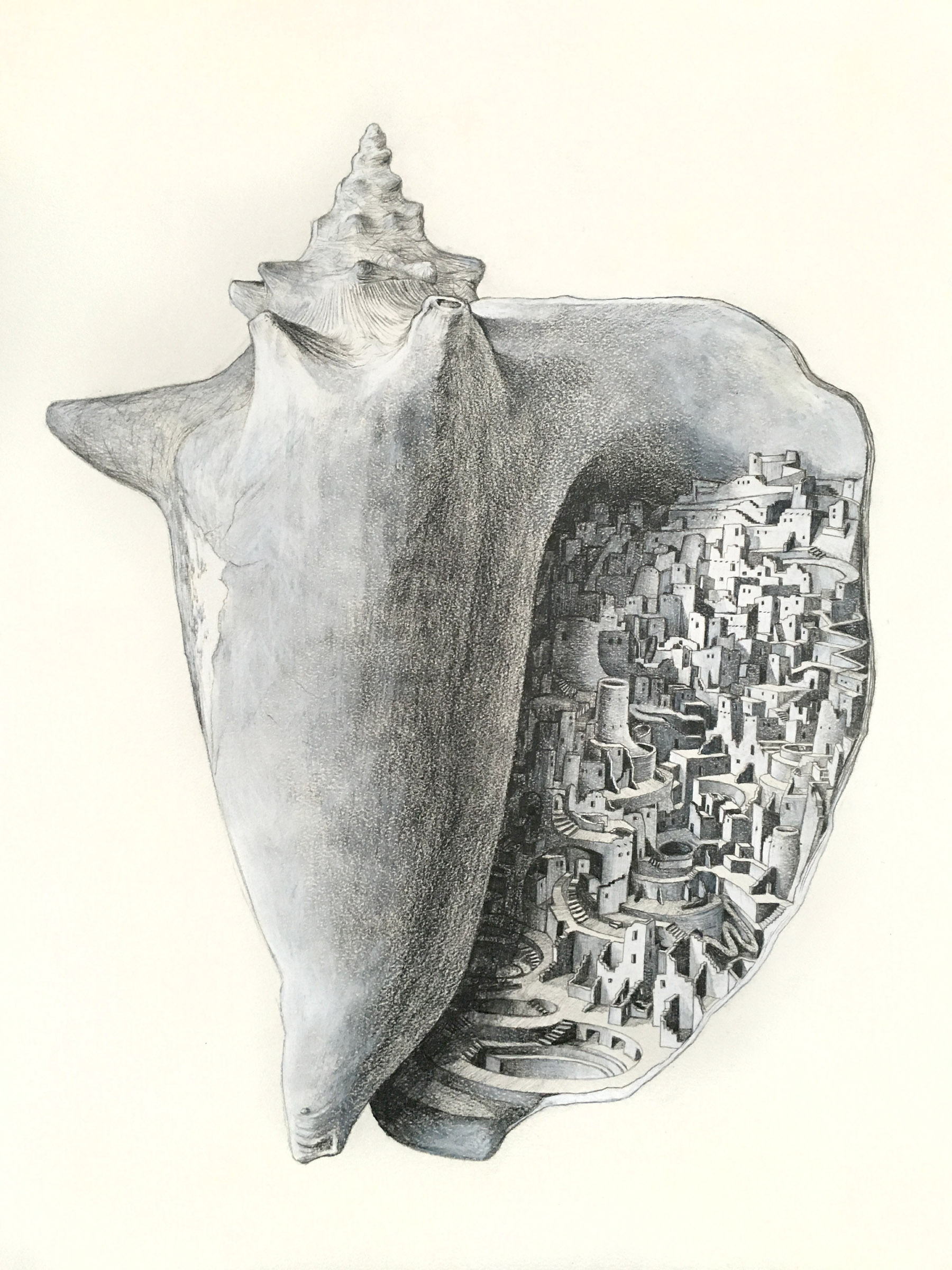 City in a Shell graphite and color pencil on paper 24" x 18" 2015 (sold)