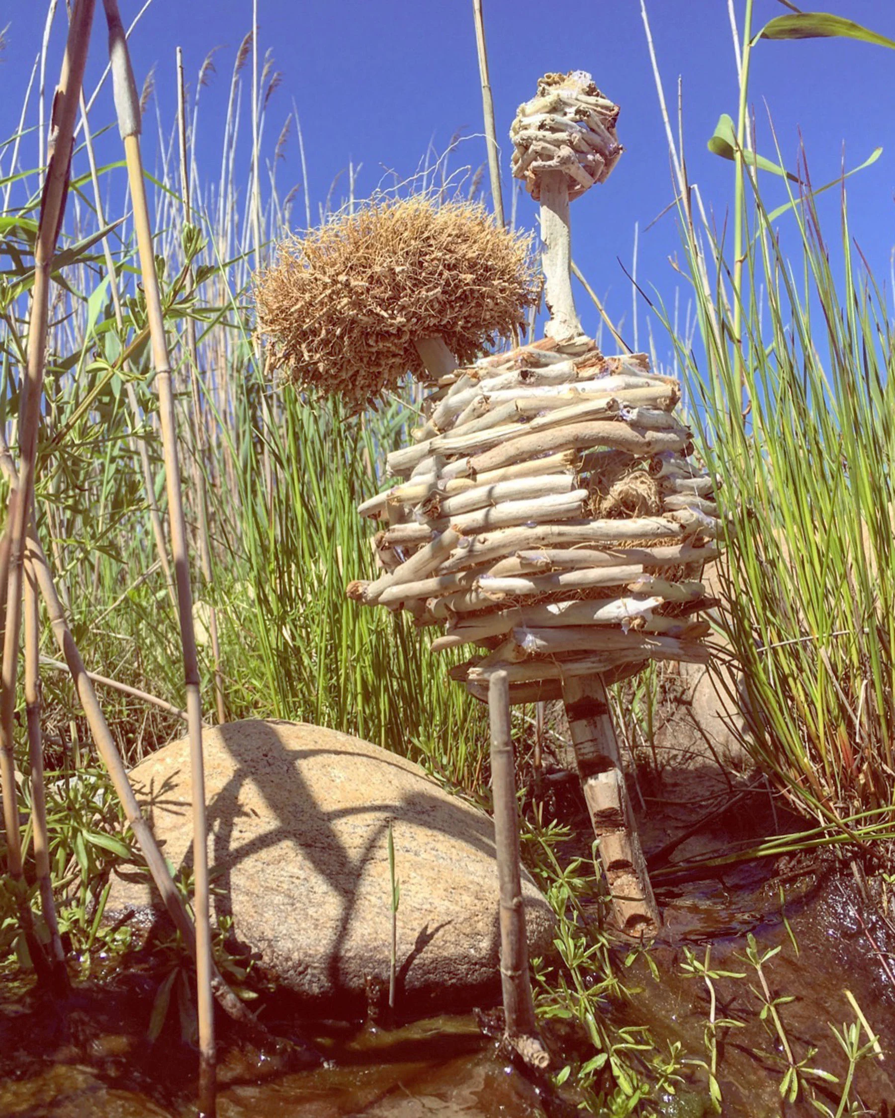 Osprey Fort sticks, plant material 20" x 7" diameter 2016 on location at Amsterdam Beach, Montauk, NY. June 2016 (Available as archival digital print, 16" x 20", edition of 50)
