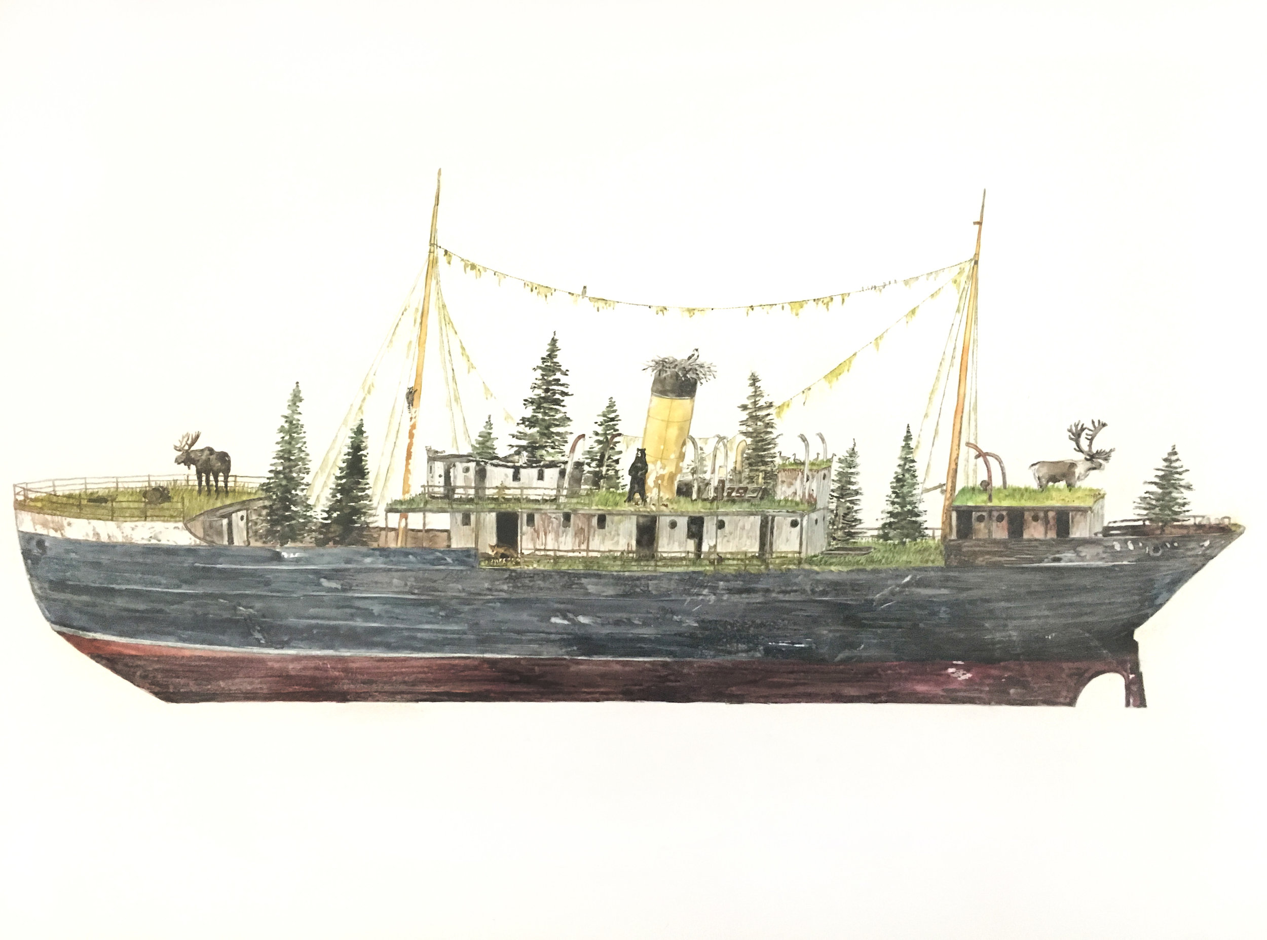    Wildership    watercolor and graphite on yupo paper  20" x 30"  2017  (sold) 