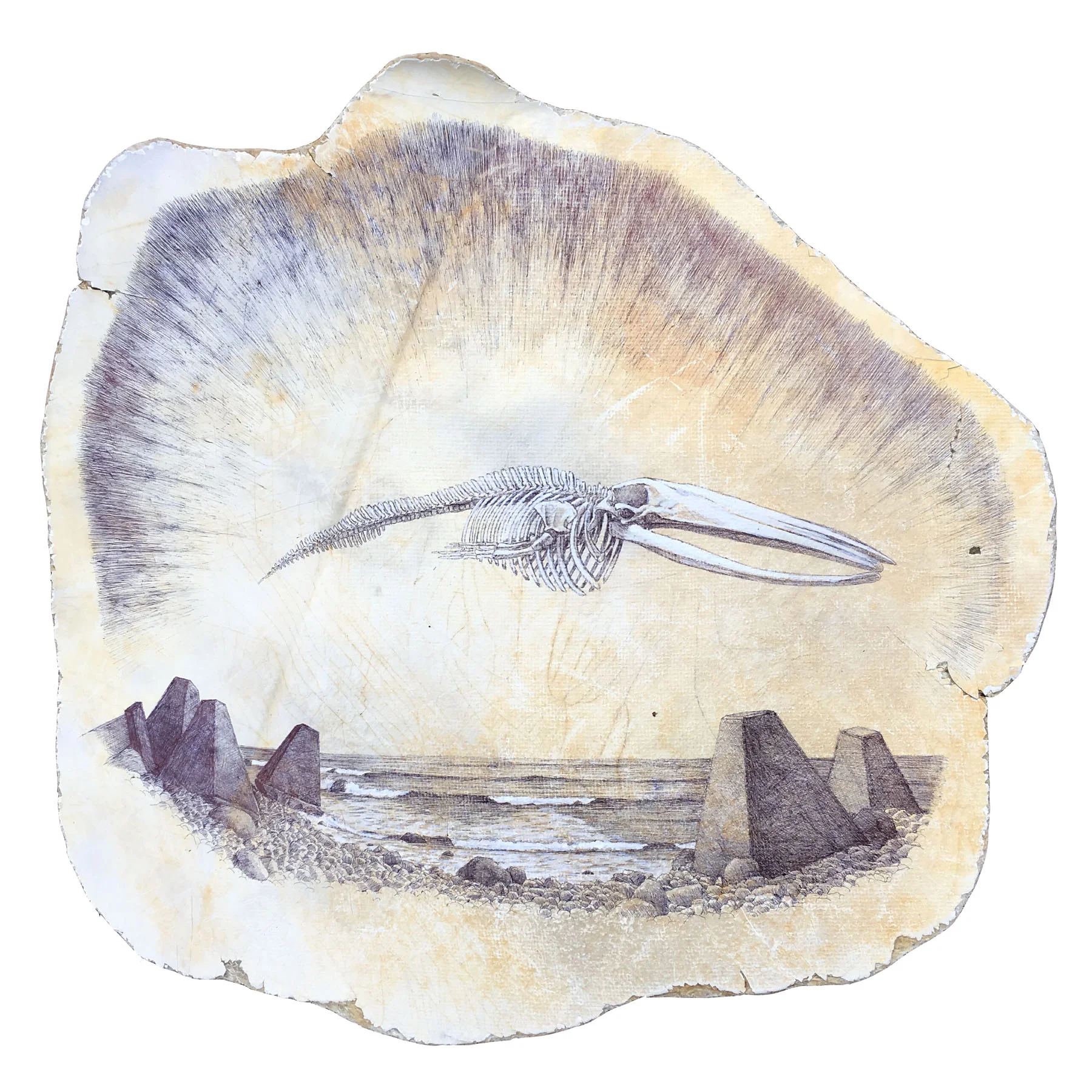 Resurrection ballpoint pen on found fiberglass fragment 20" x 20" 2017 (sold)