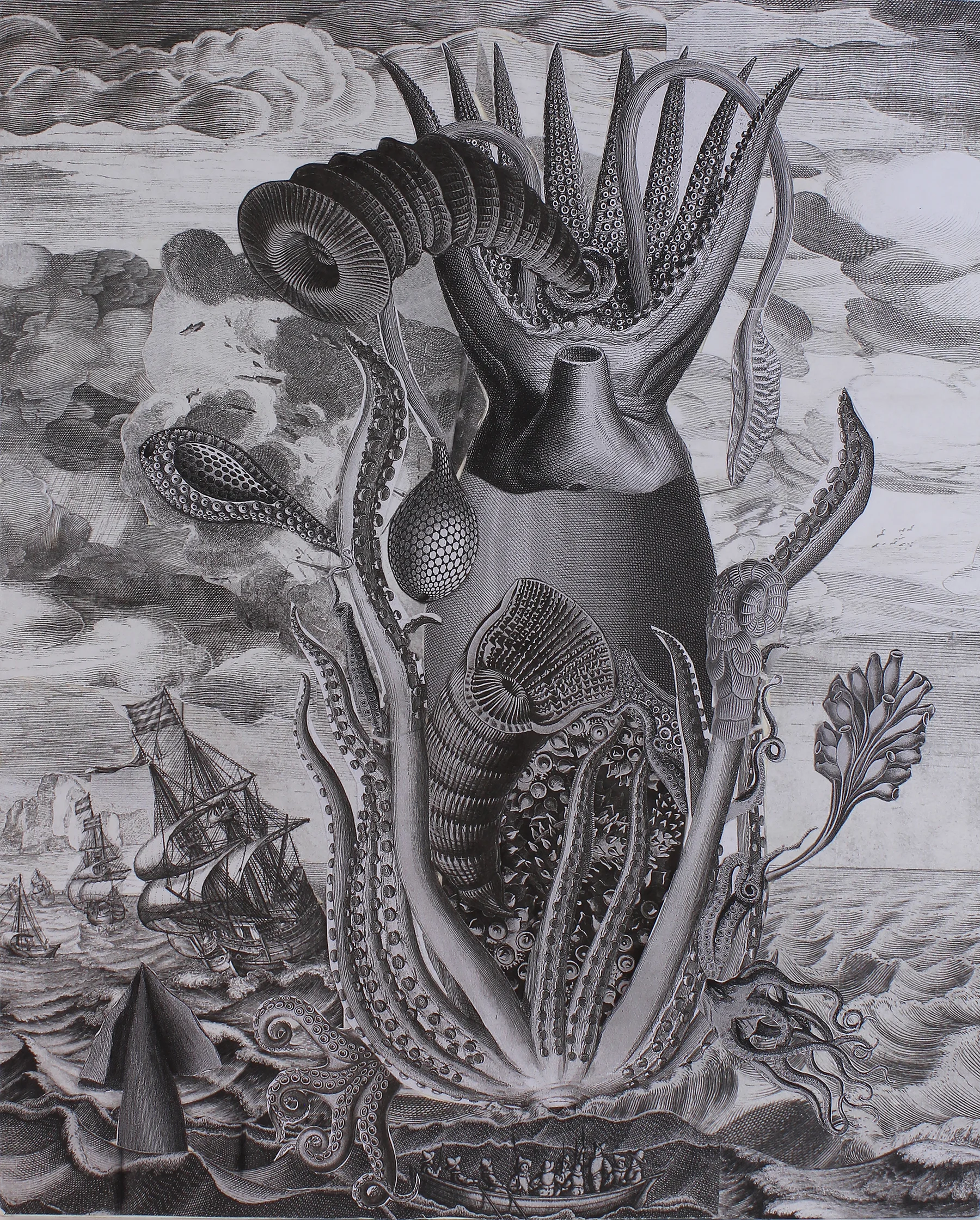 Cephalogod paper collage on bristol board 16.25” x 13” 2018 (sold)