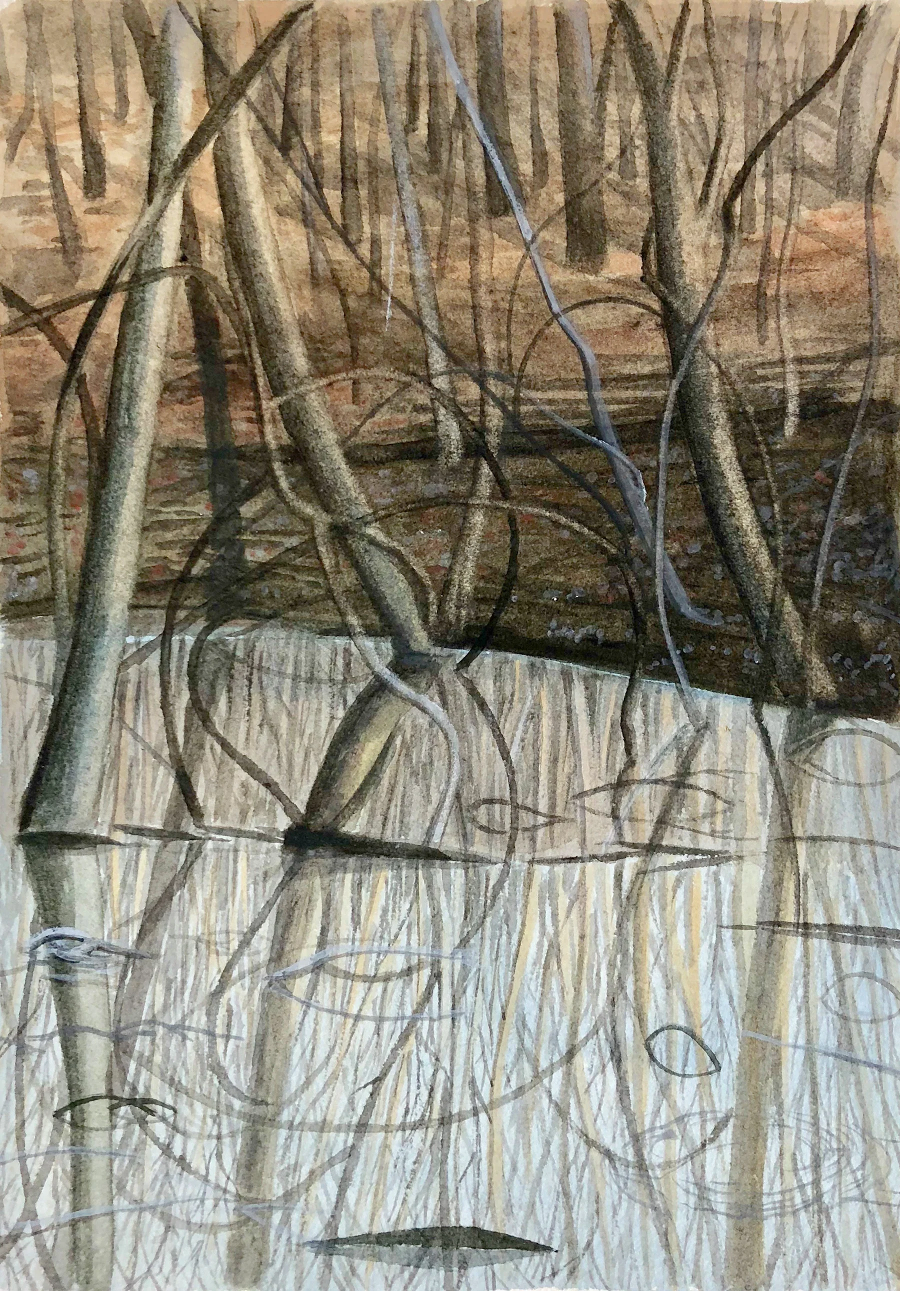 Vernalanrev watercolor on paper 8” x 6” 2019 (available)