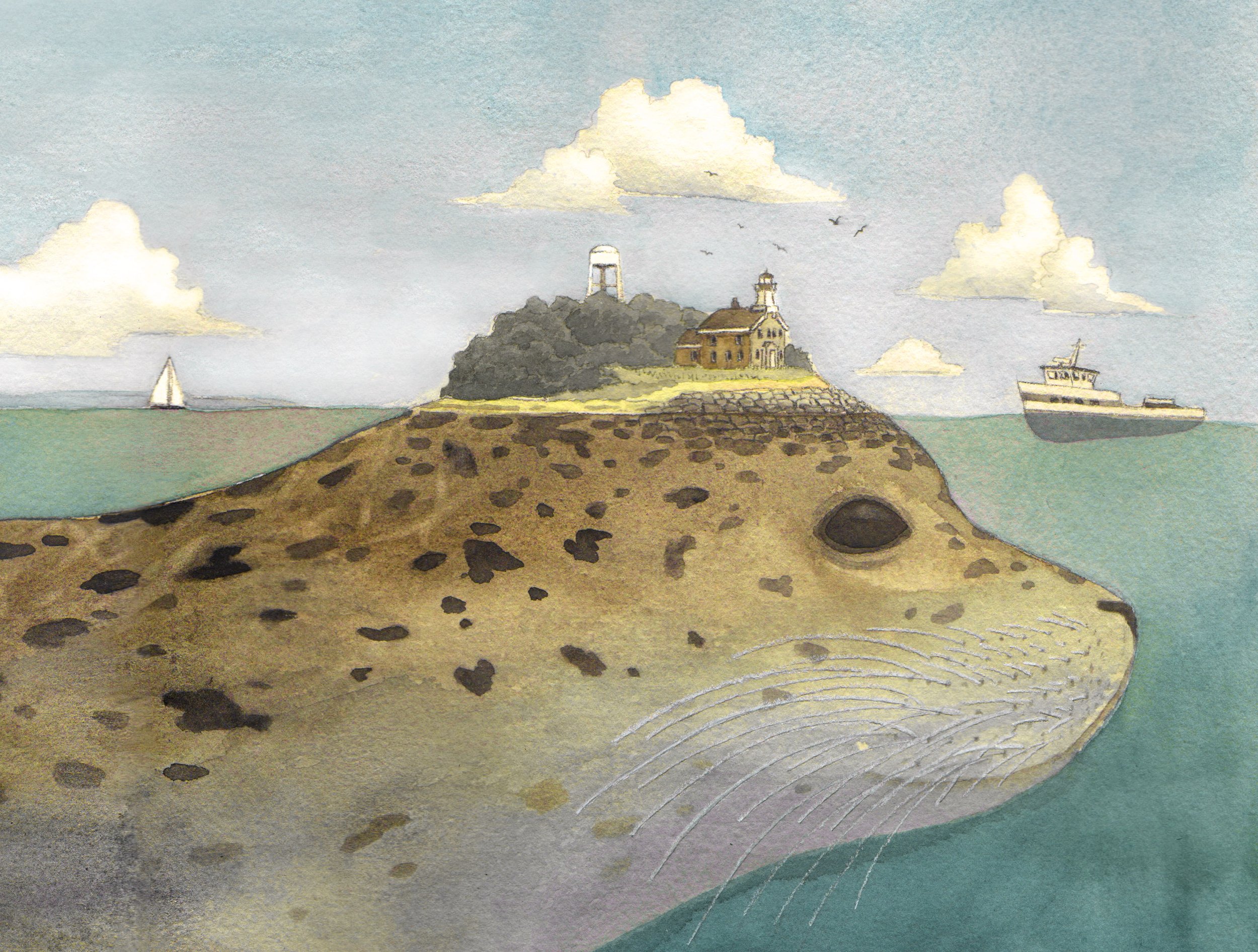    Island of the Seal    watercolor and digital  2020  Commissioned by the Save Plum Island coalition for a brochure to present to congress advocating for the preservation of Plum Island, NY.  (original sold) 