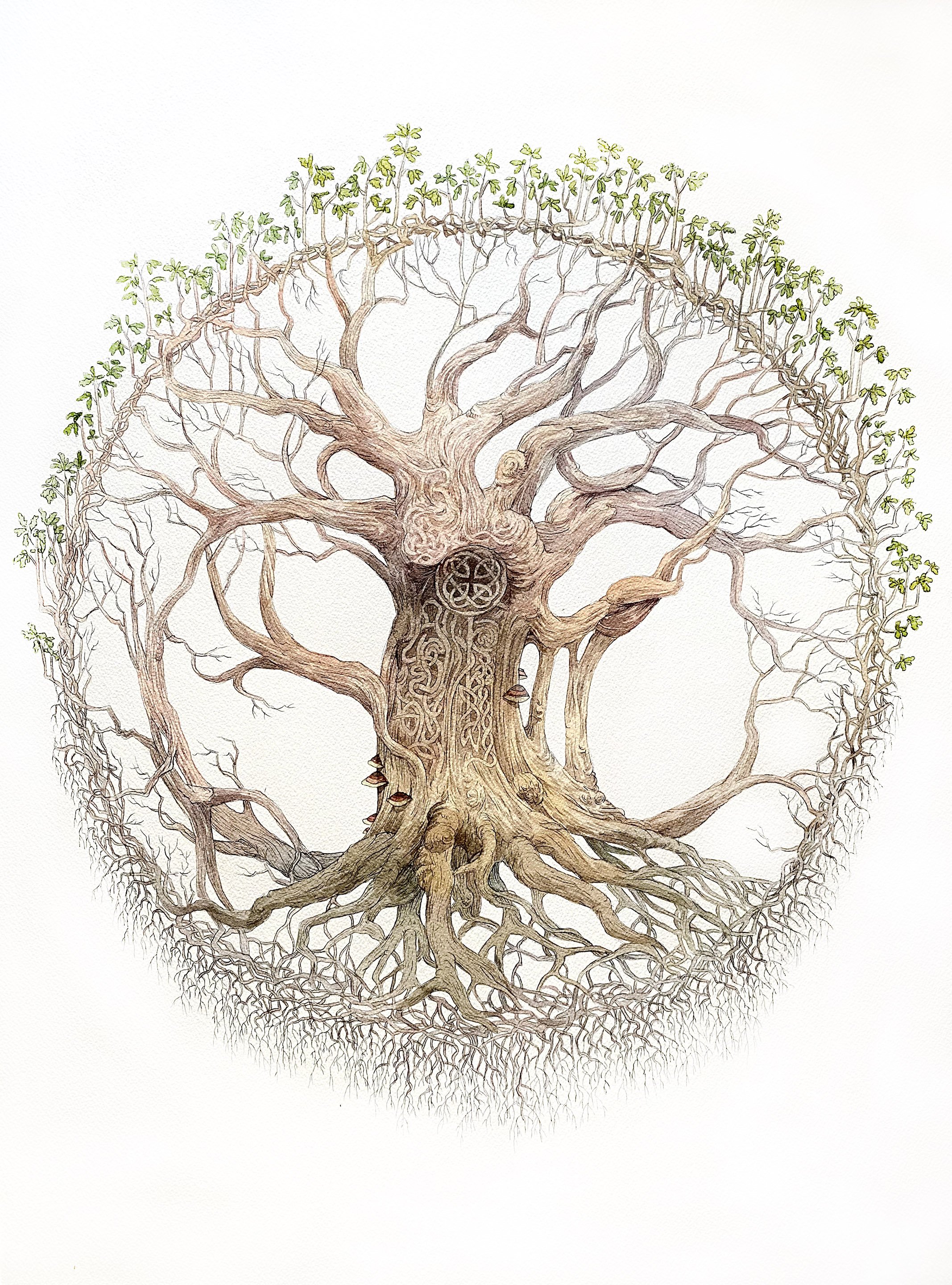    Yggdrasil    watercolor and graphite on paper  24” x 18”  2022  (sold) 