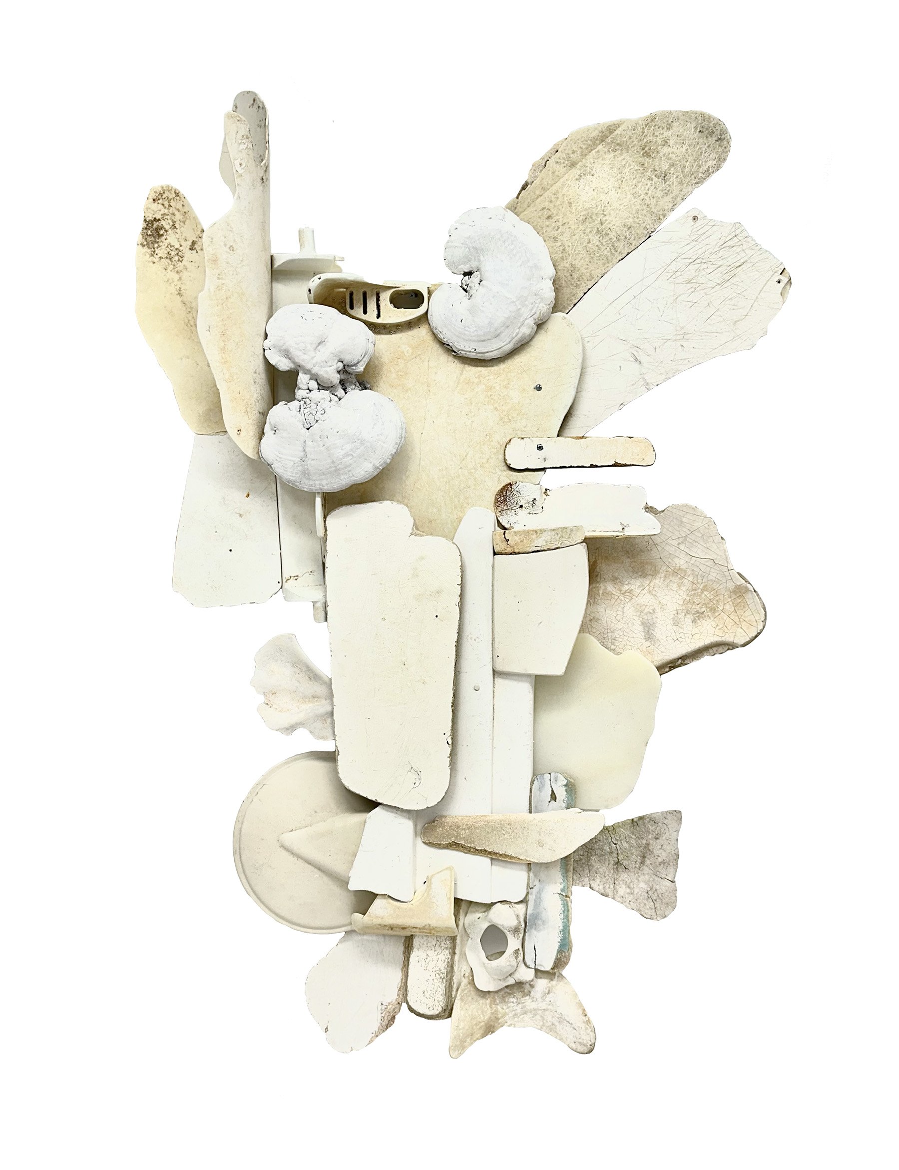    Ossica    found fiberglass, plastic, bone, reishi mushrooms, foam  58” x 40” x 8”  2024  (available) 