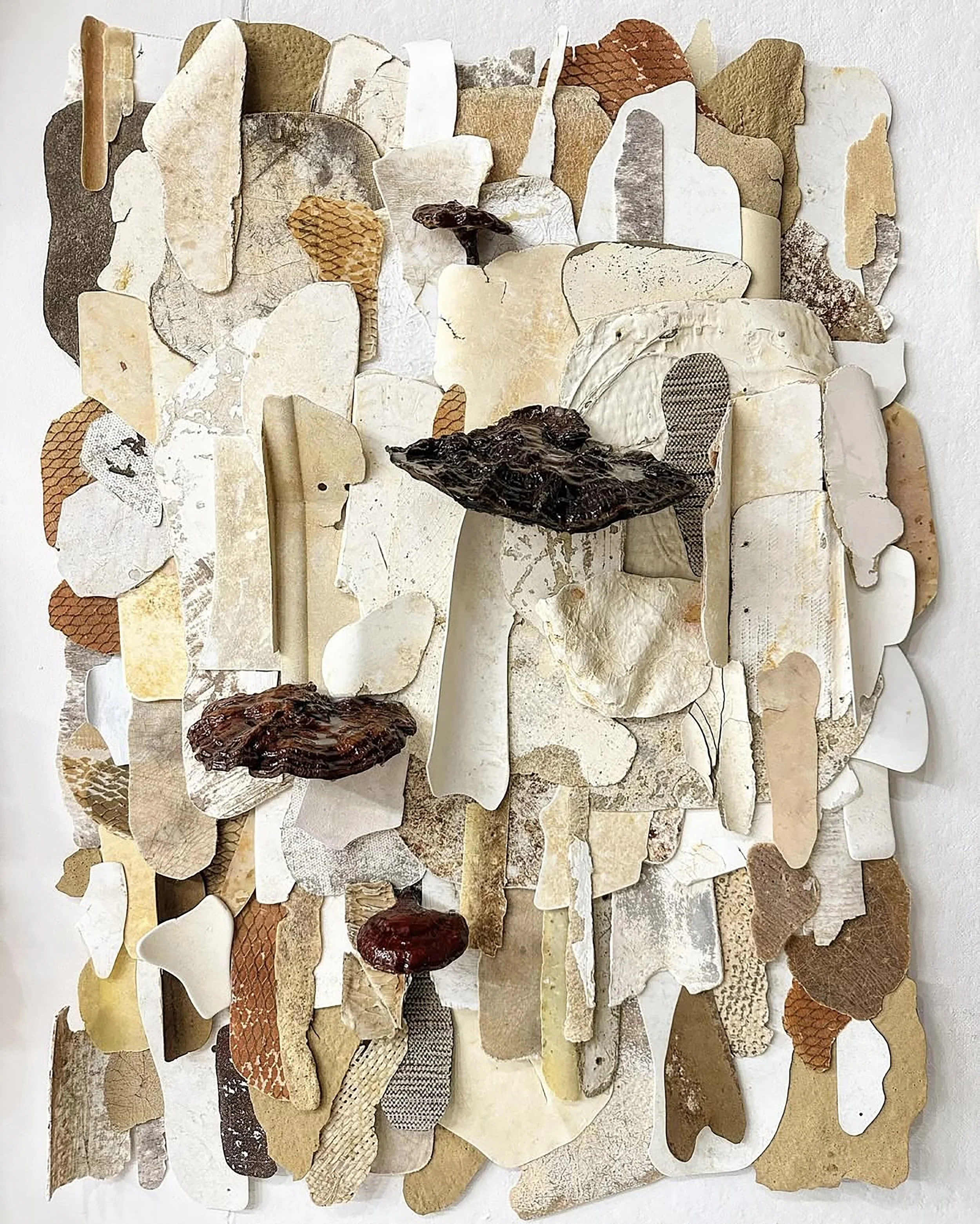 Betula found fiberglass, pvc, vinyl, plastic objects, reishi mushrooms, epoxy resin 40” x 30” 2025 (available)
