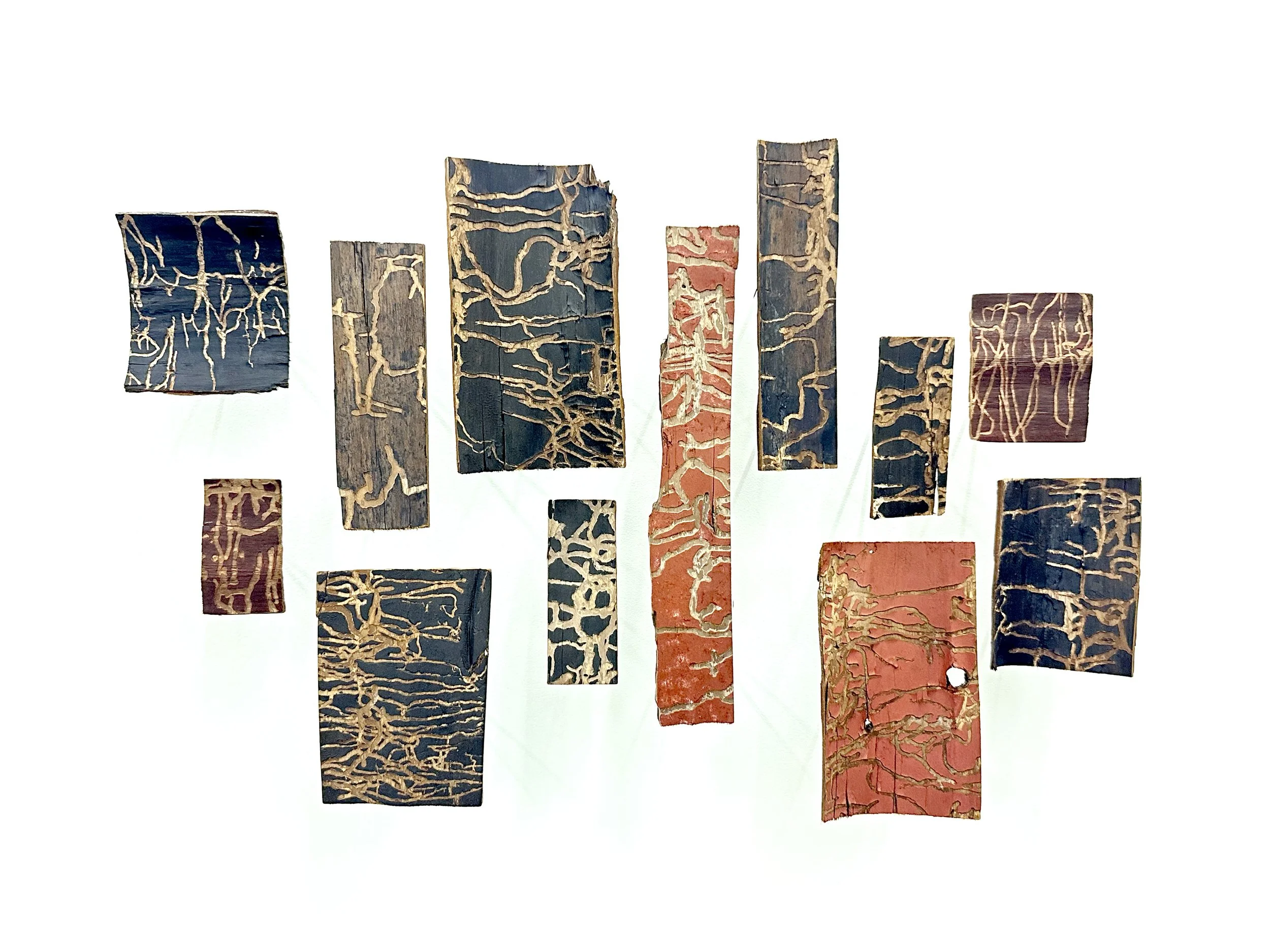    Bark Blocks (Ghost Forest)    oil on pine bark  dimensions variable  2026  (available) 