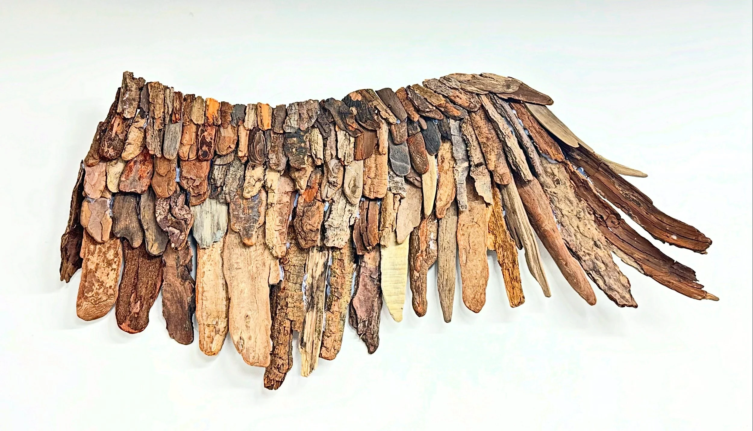    Barkwing    pine bark assemblage  31” x 24” x 7”  2026  (available) 