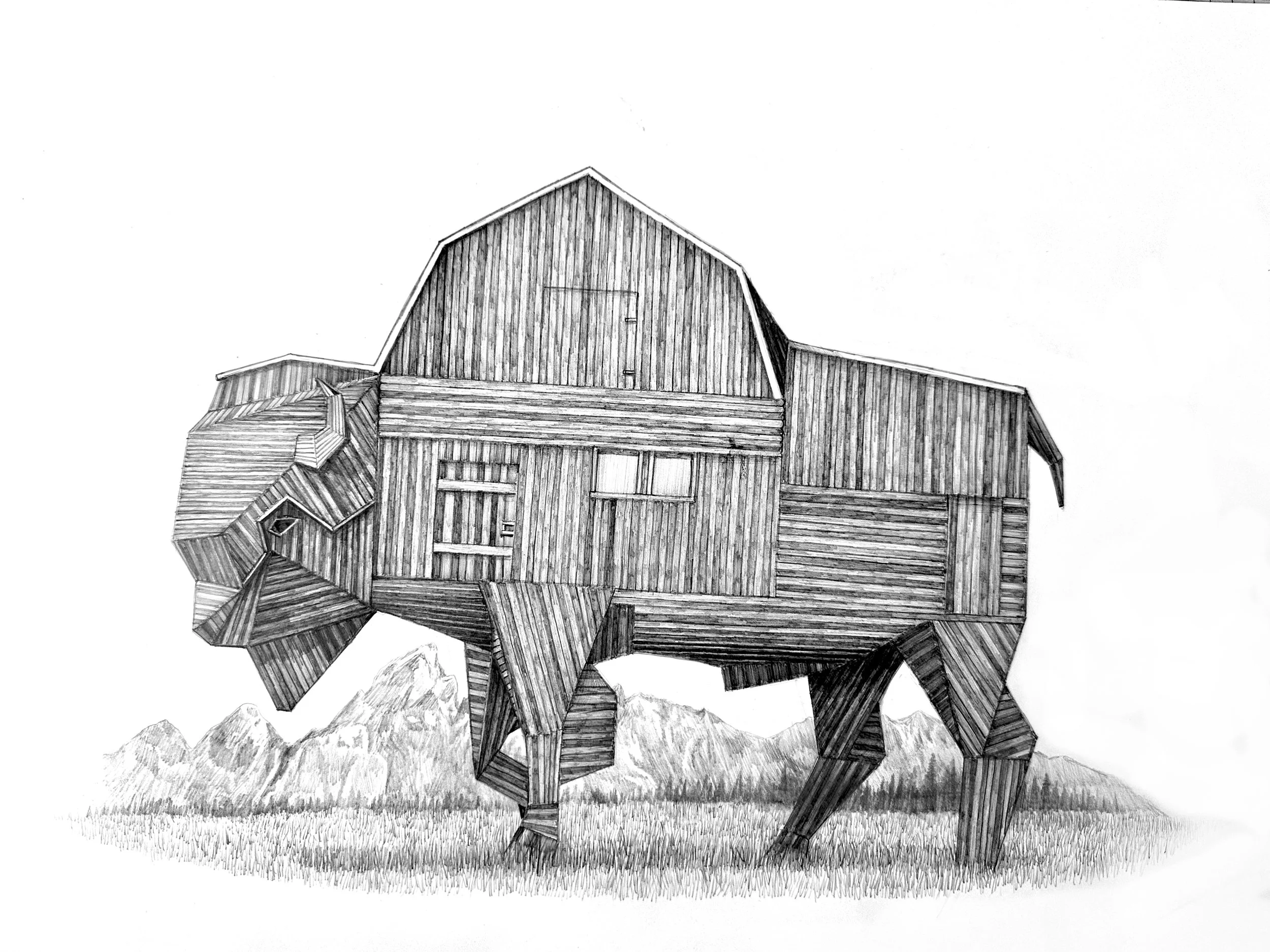    Barn of the Bison    graphite on paper  11” x 14”  2026  (sold) 