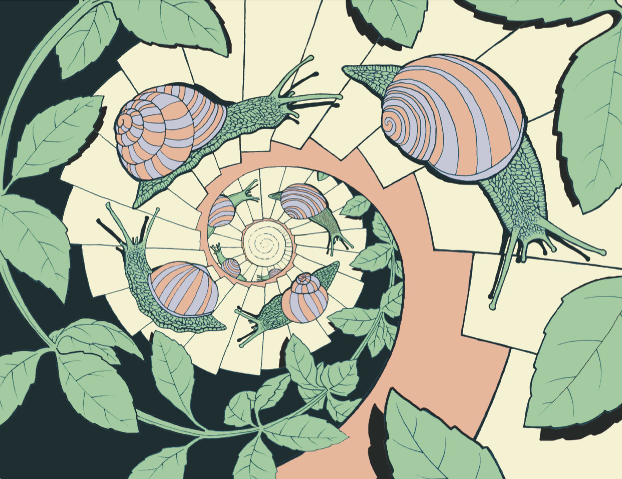    Staircase Snails    ink and digital, 2025  Commissioned illustration for Peconic Escargot packaging 