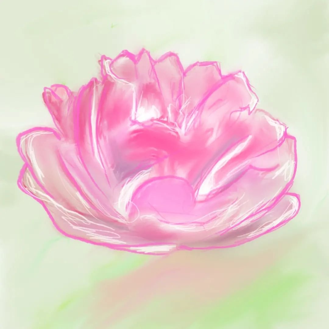 The peonies are finally blossoming. Inspired a digital doodle