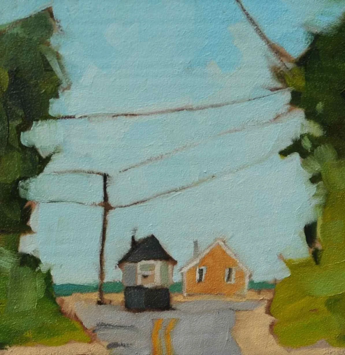 Road to Skaket McGauley