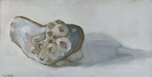 McGauley Barnacles on Mussel