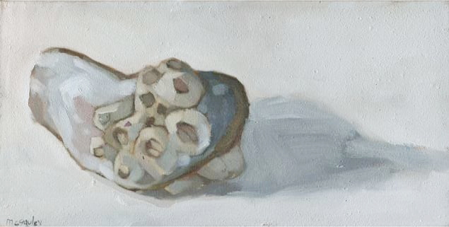 McGauley+Barnacles+on+Mussel.jpeg
