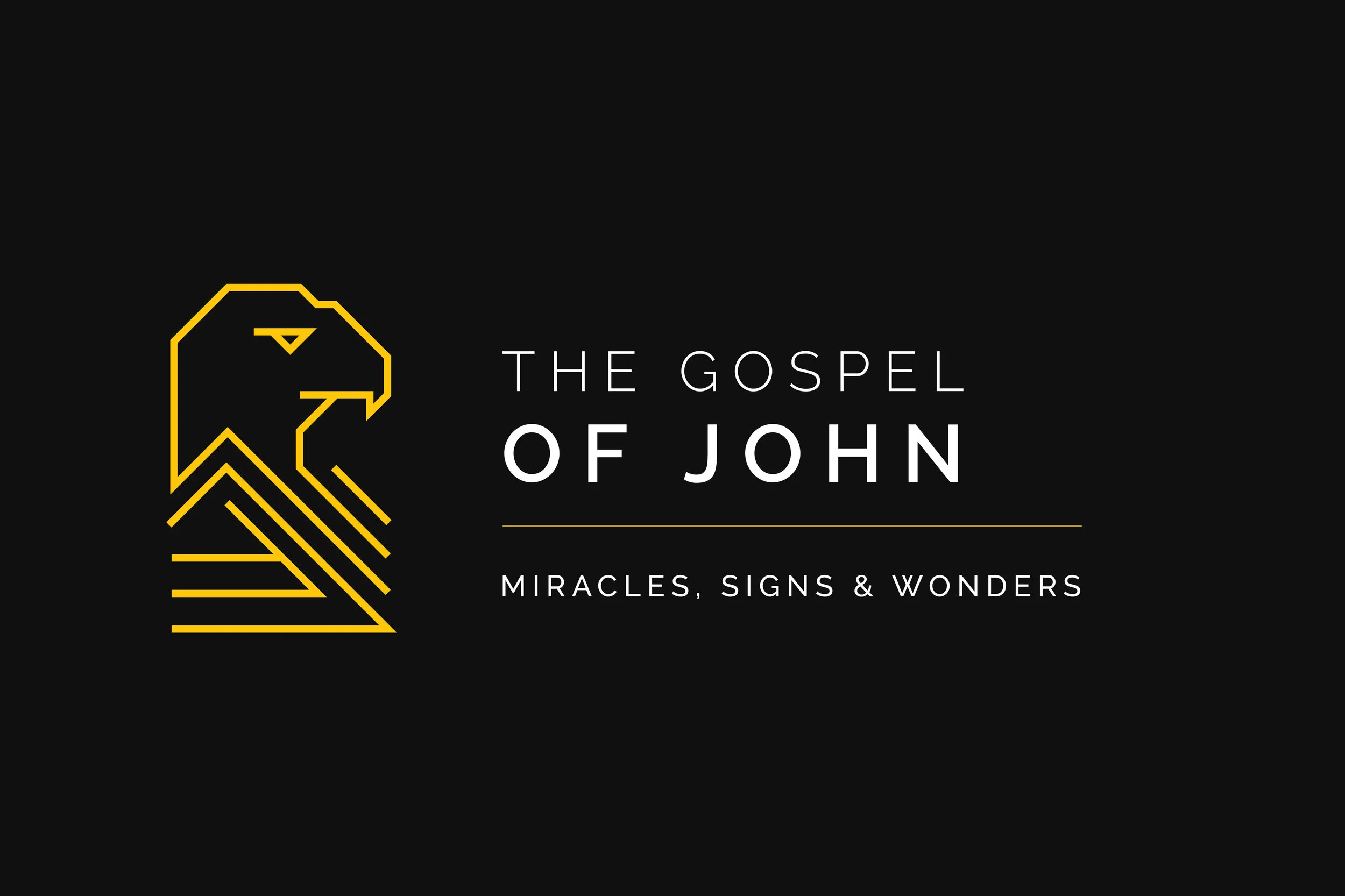 08-The-Gospel-of-John-Miracles-Signs-Wonders.jpg
