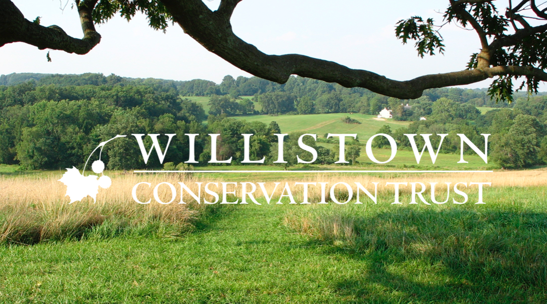A Day-Long Yoga + Meditation + Walking in the Wilderness Retreat At Willistown Conservation Trust 