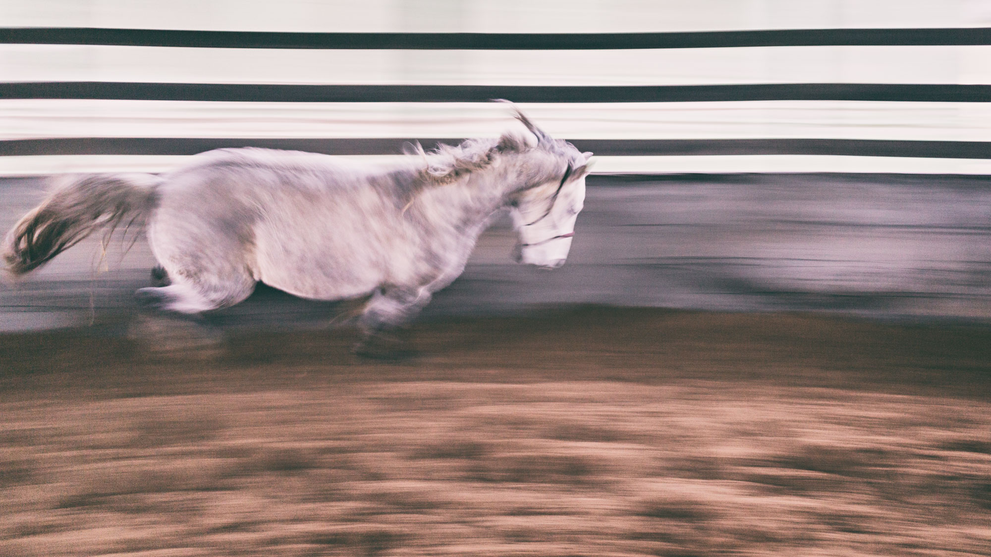 017/365 The Getaway