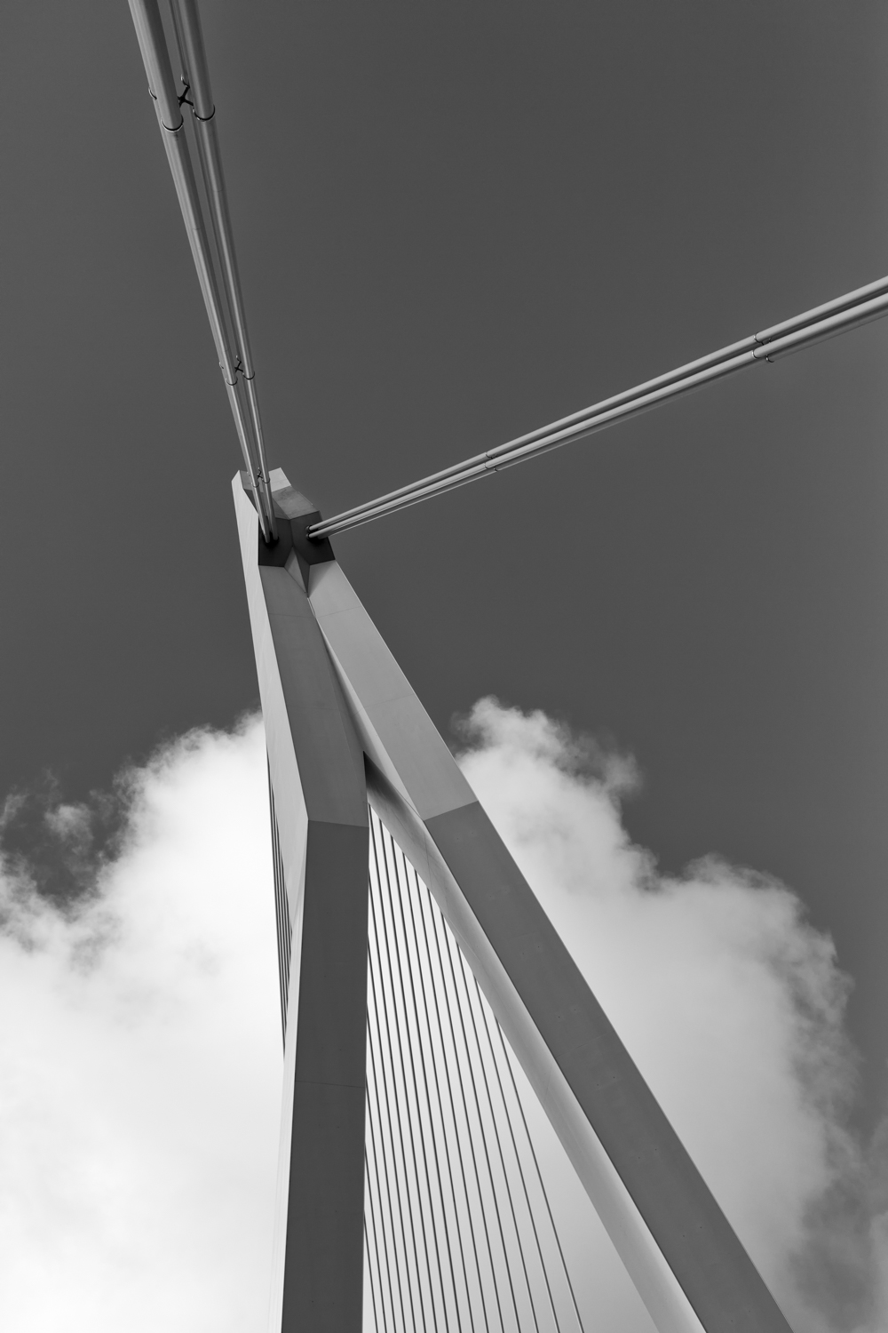 024/365 #RotterdamInThePicture