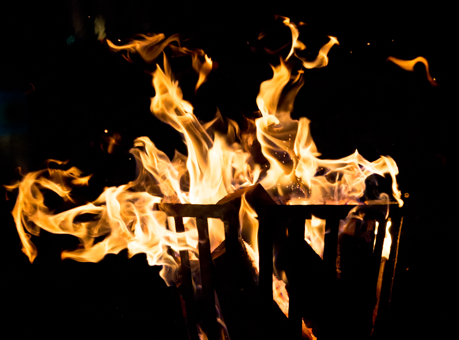 025/365 Flamma