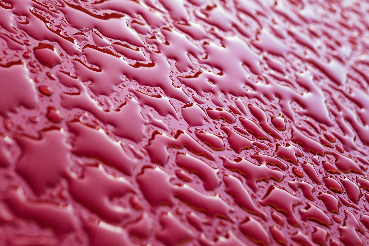 038/365 Red Lagoon