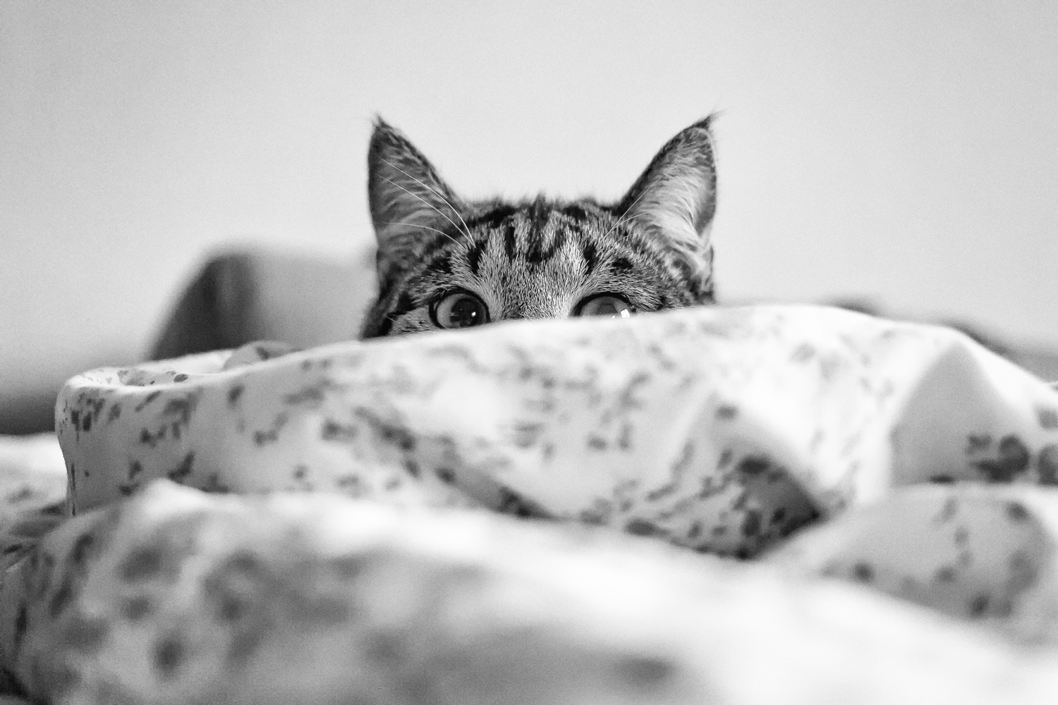 040/365 There you are!