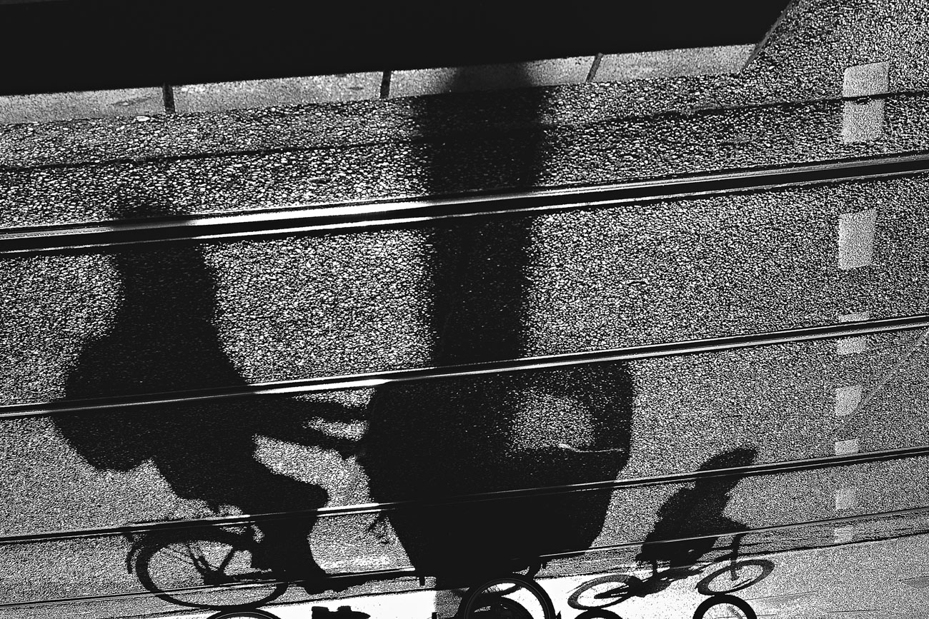 057/365 Lowland Shadows