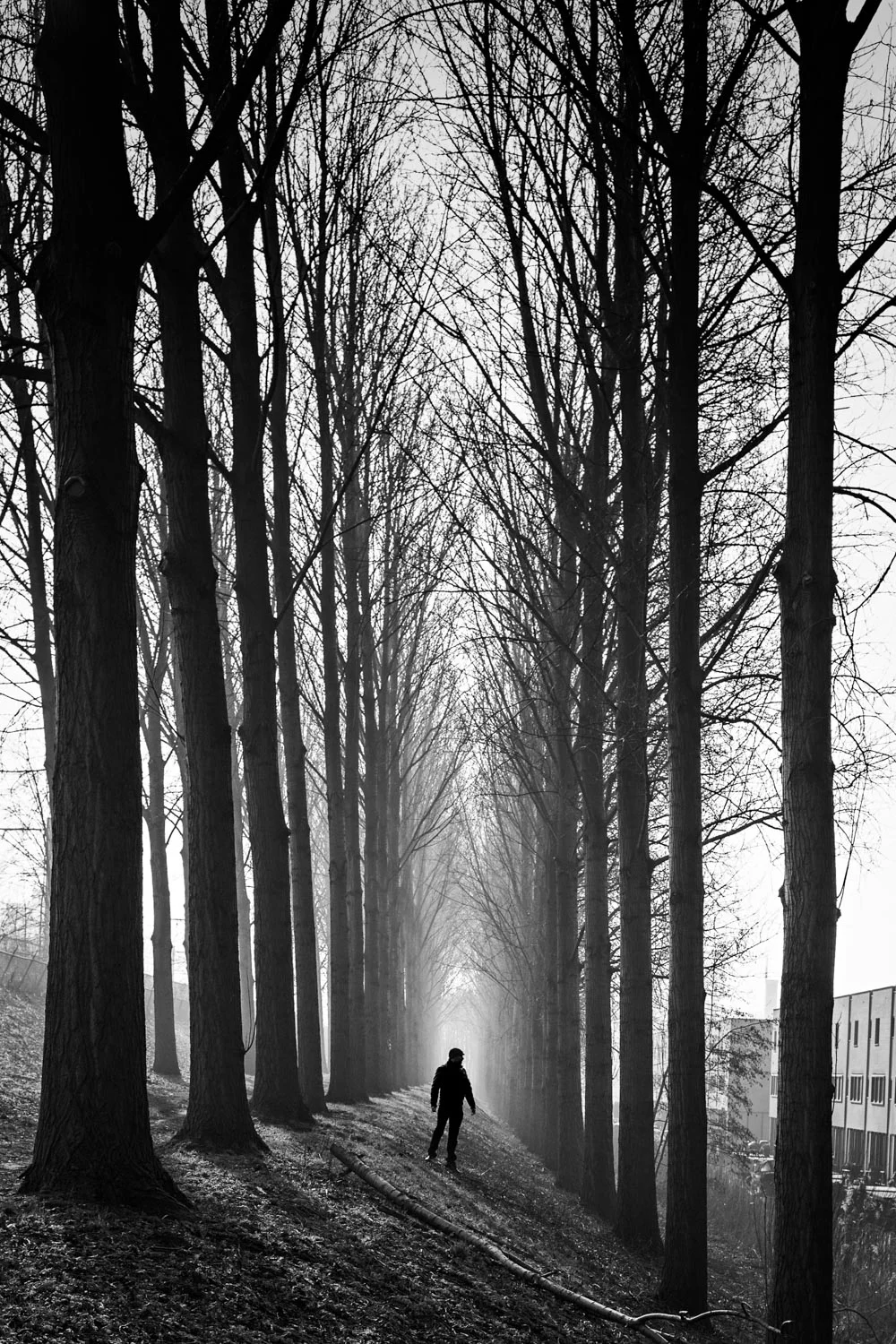 059/365 Avenue Des Peupliers