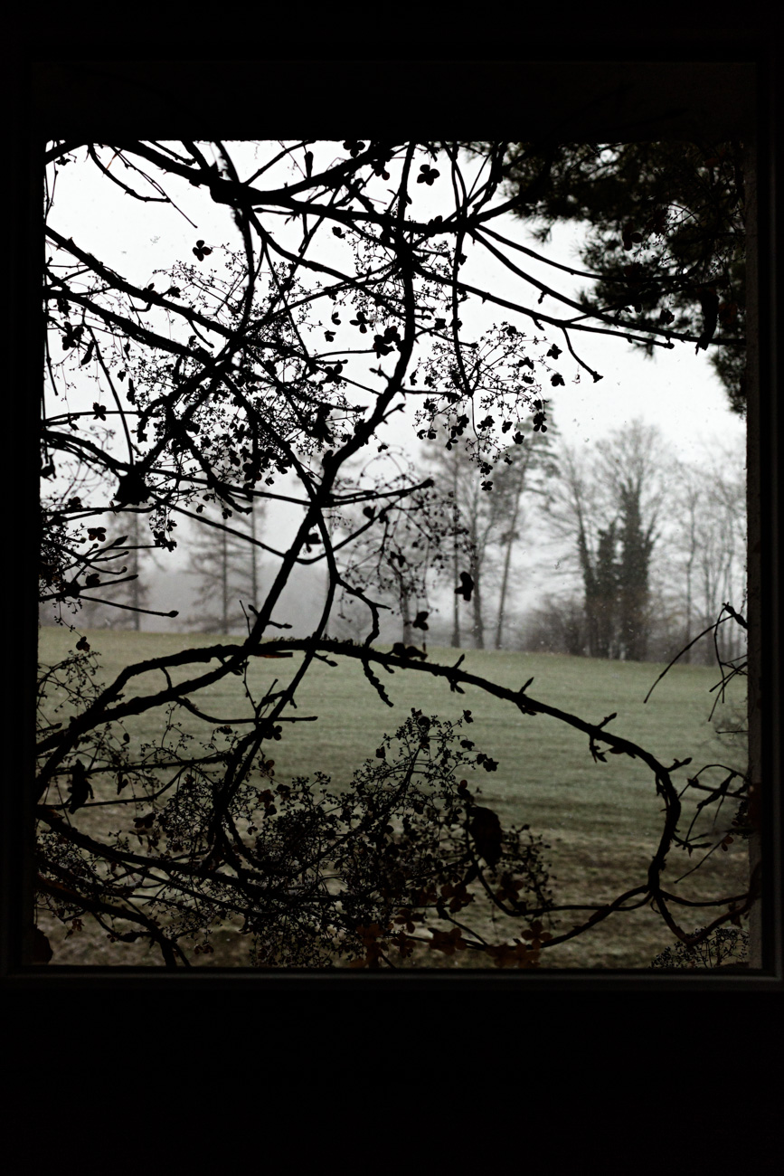 062/365 Coup d'oeil!