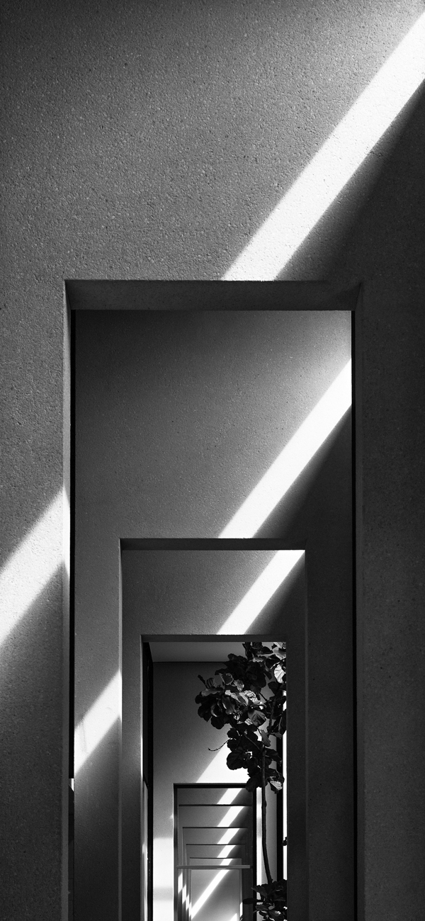 098/365 Puit de Lumière