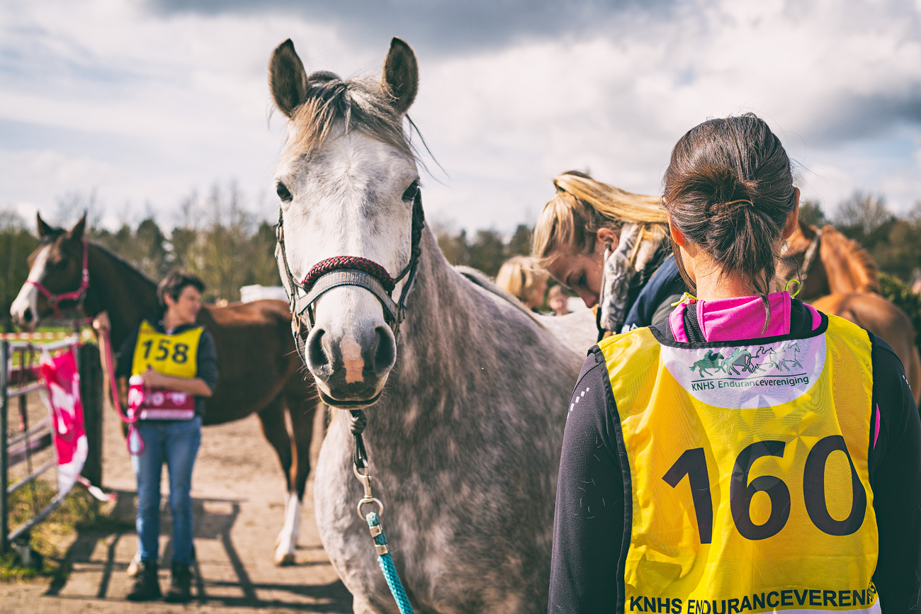 20150419_BNR_7664-Edit.jpg