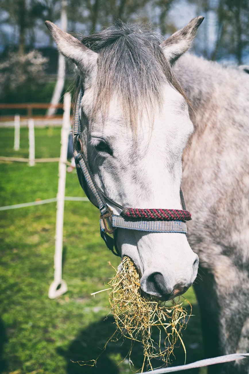 20150419_BNR_7693-Edit.jpg