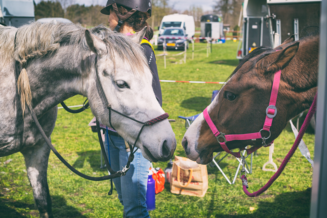 20150419_BNR_7697-Edit.jpg