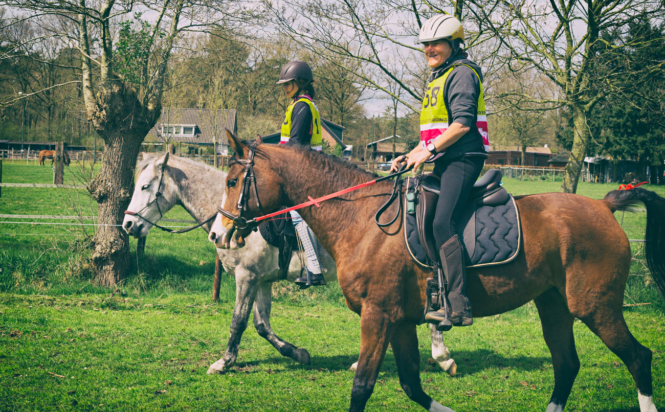 20150419_BNR_7733-Edit.jpg