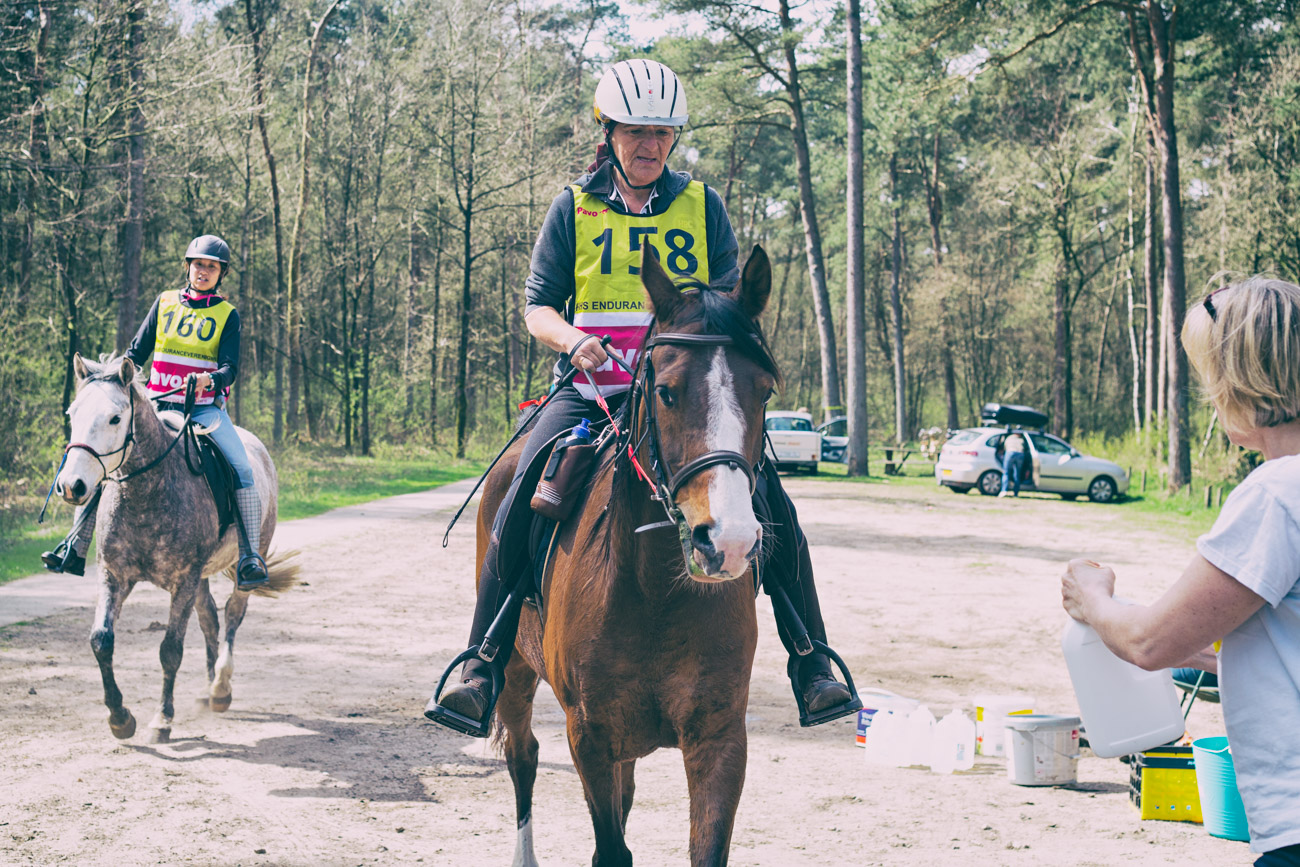 20150419_BNR_7743-Edit.jpg