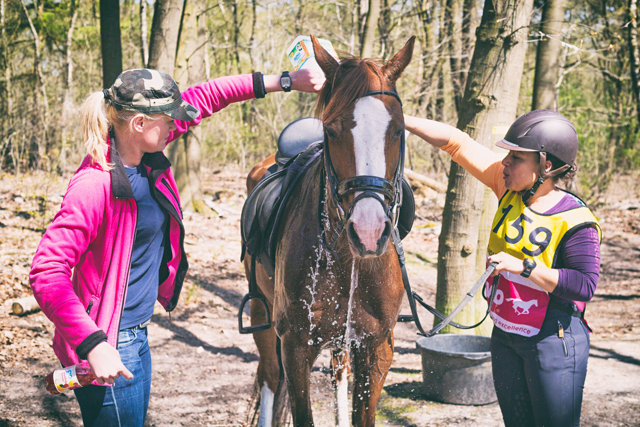20150419_BNR_7755-Edit.jpg