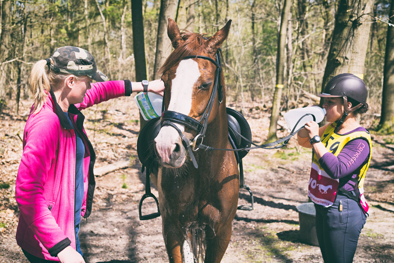 20150419_BNR_7752-Edit.jpg