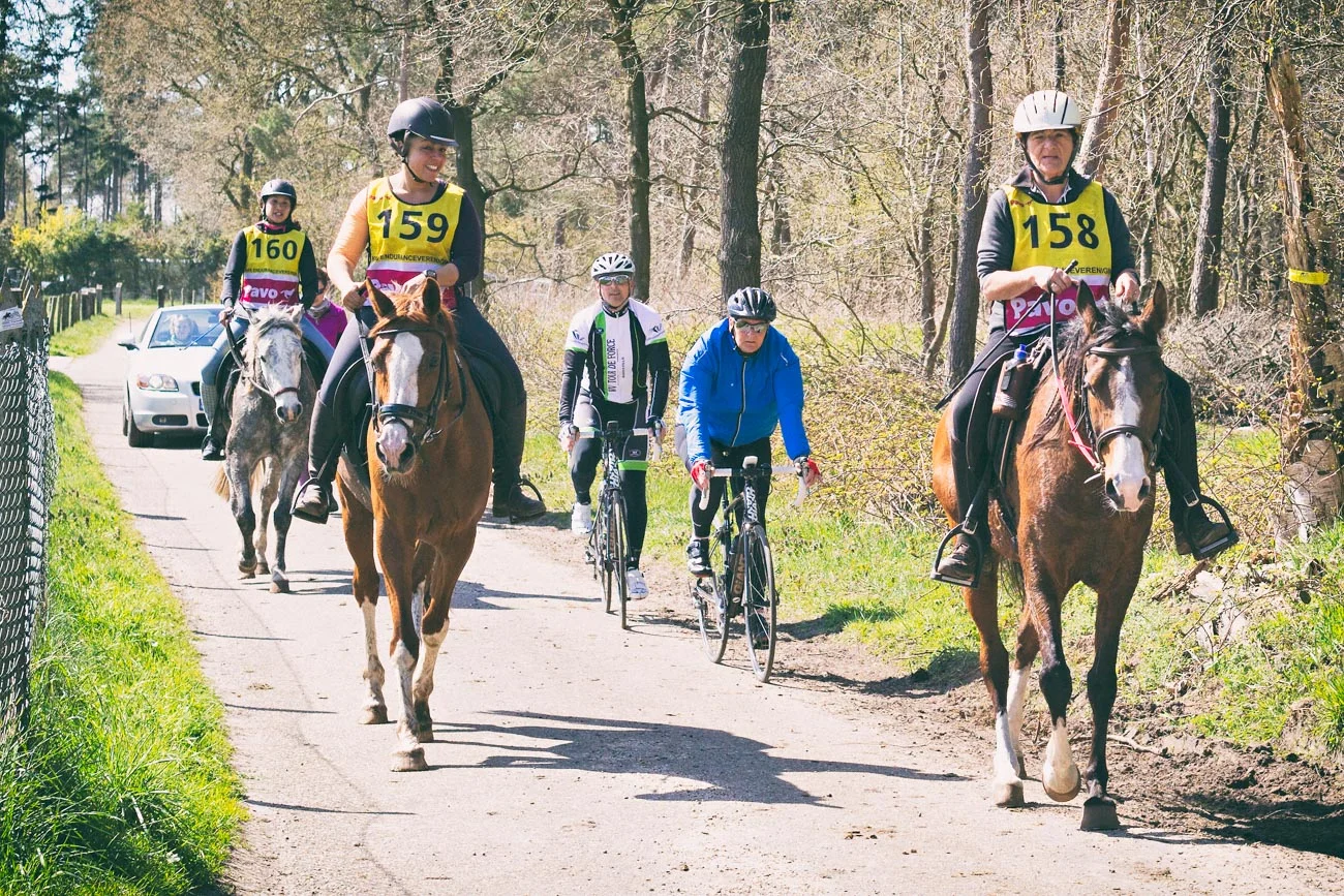 20150419_BNR_7765-Edit-2.jpg