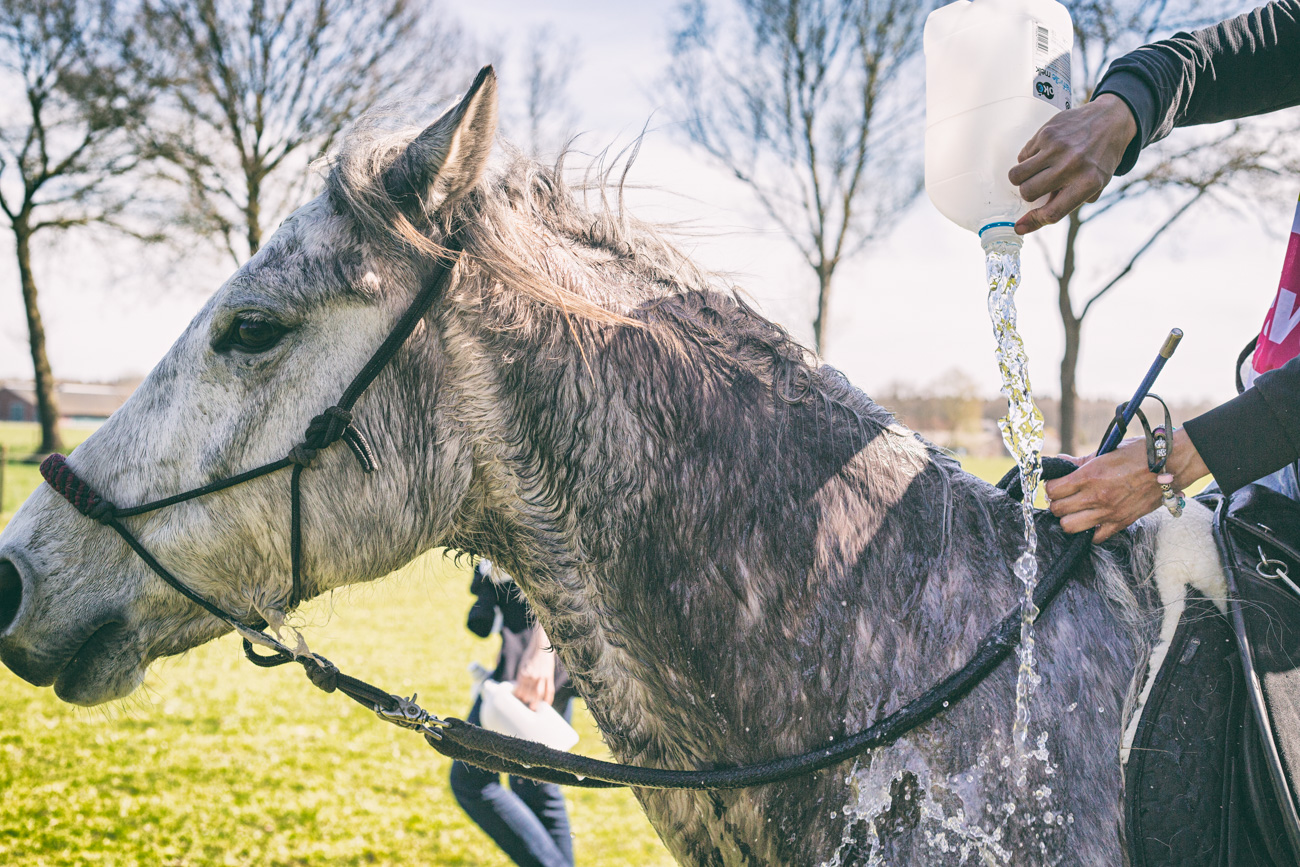 20150419_BNR_7778-Edit.jpg