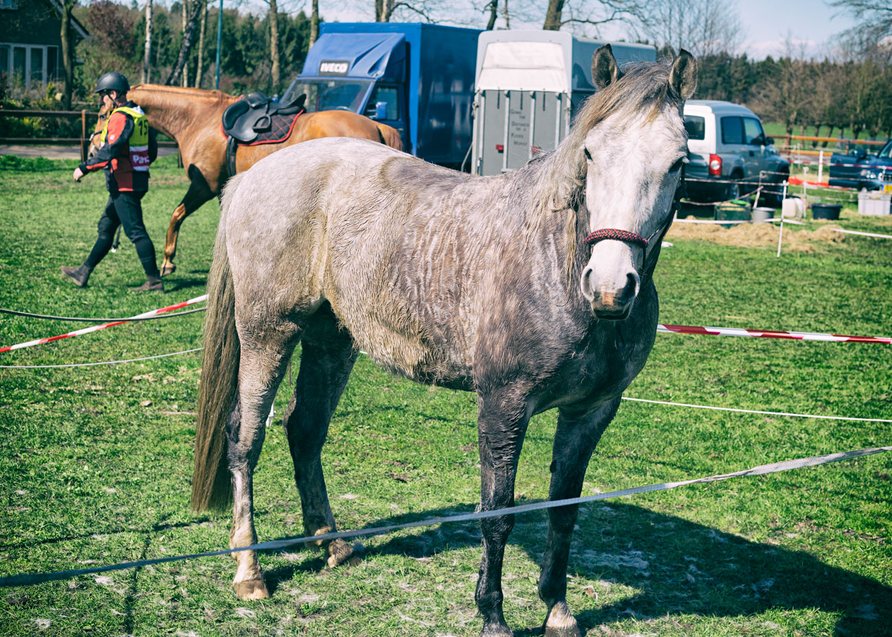 20150419_BNR_7796-Edit.jpg