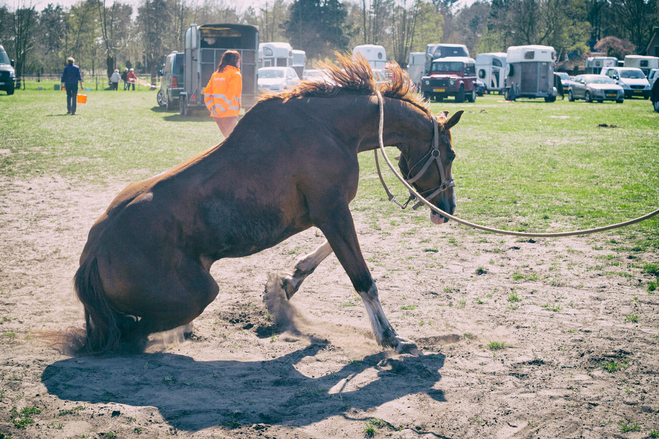 20150419_BNR_7834-Edit.jpg