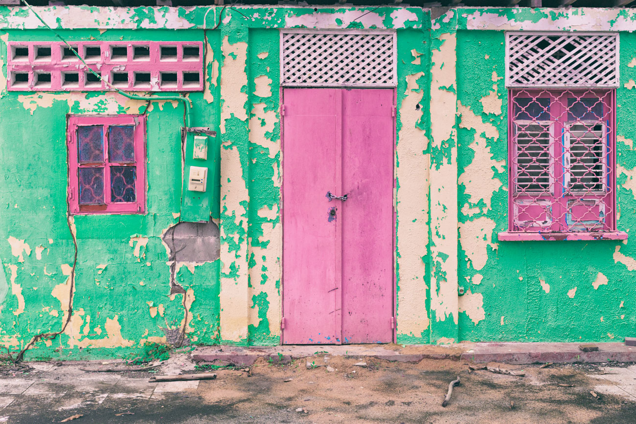 141/365 Guyane Panache