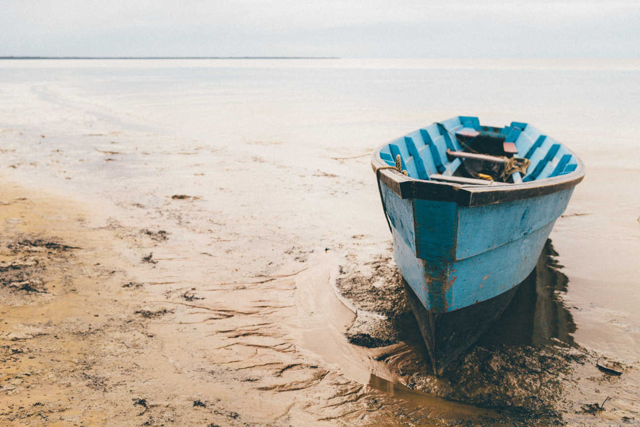 143/365 Life Vessel