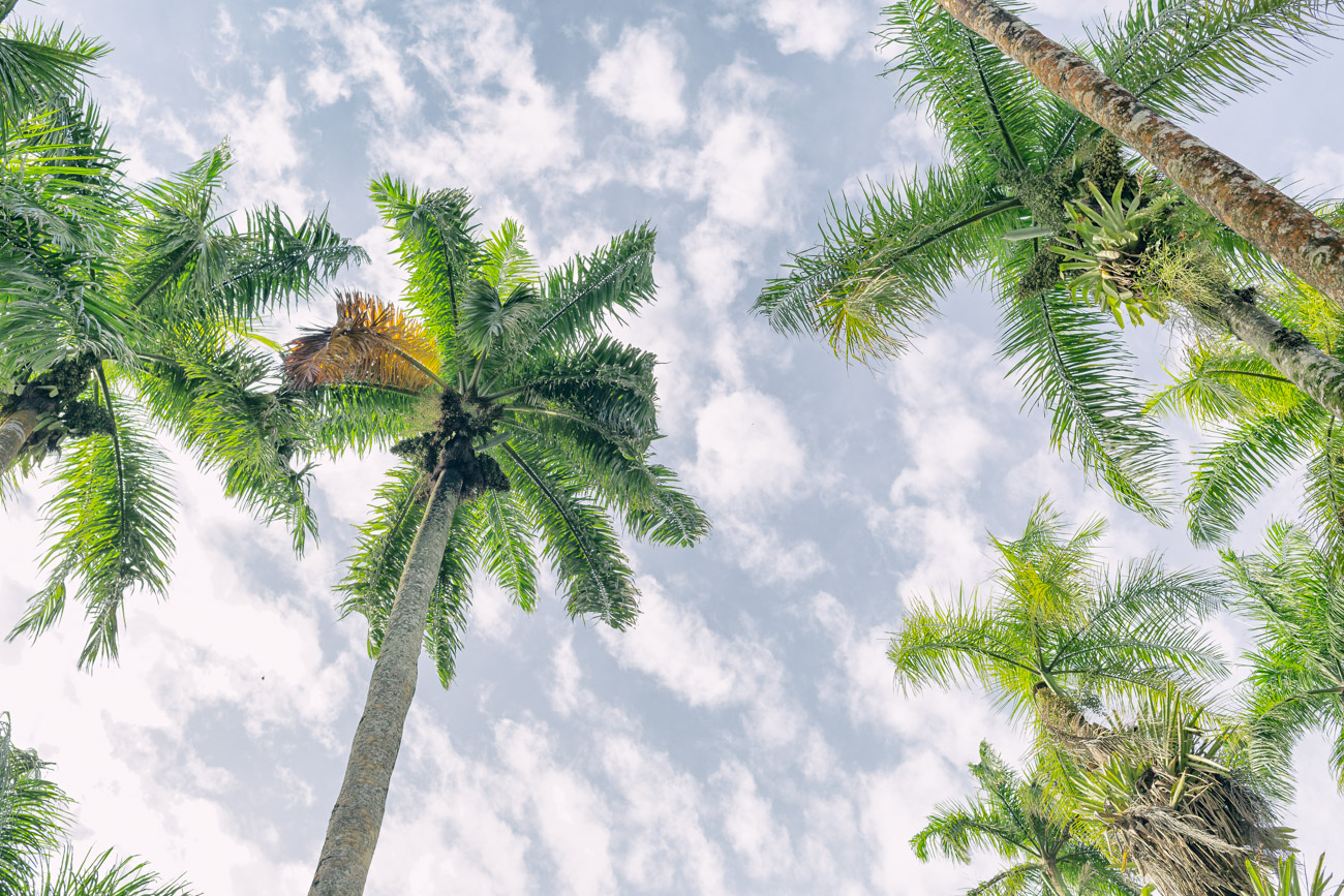 159/365 Sky High