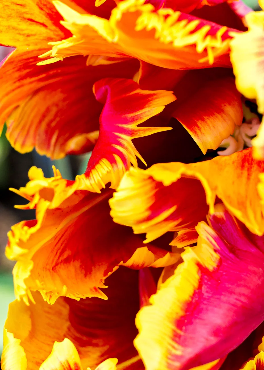BNR_1897_2014-Edit.jpg