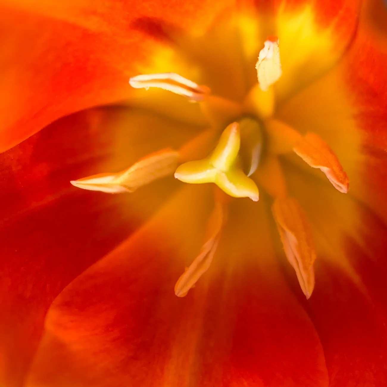 BNR_1933_2014-Edit.jpg