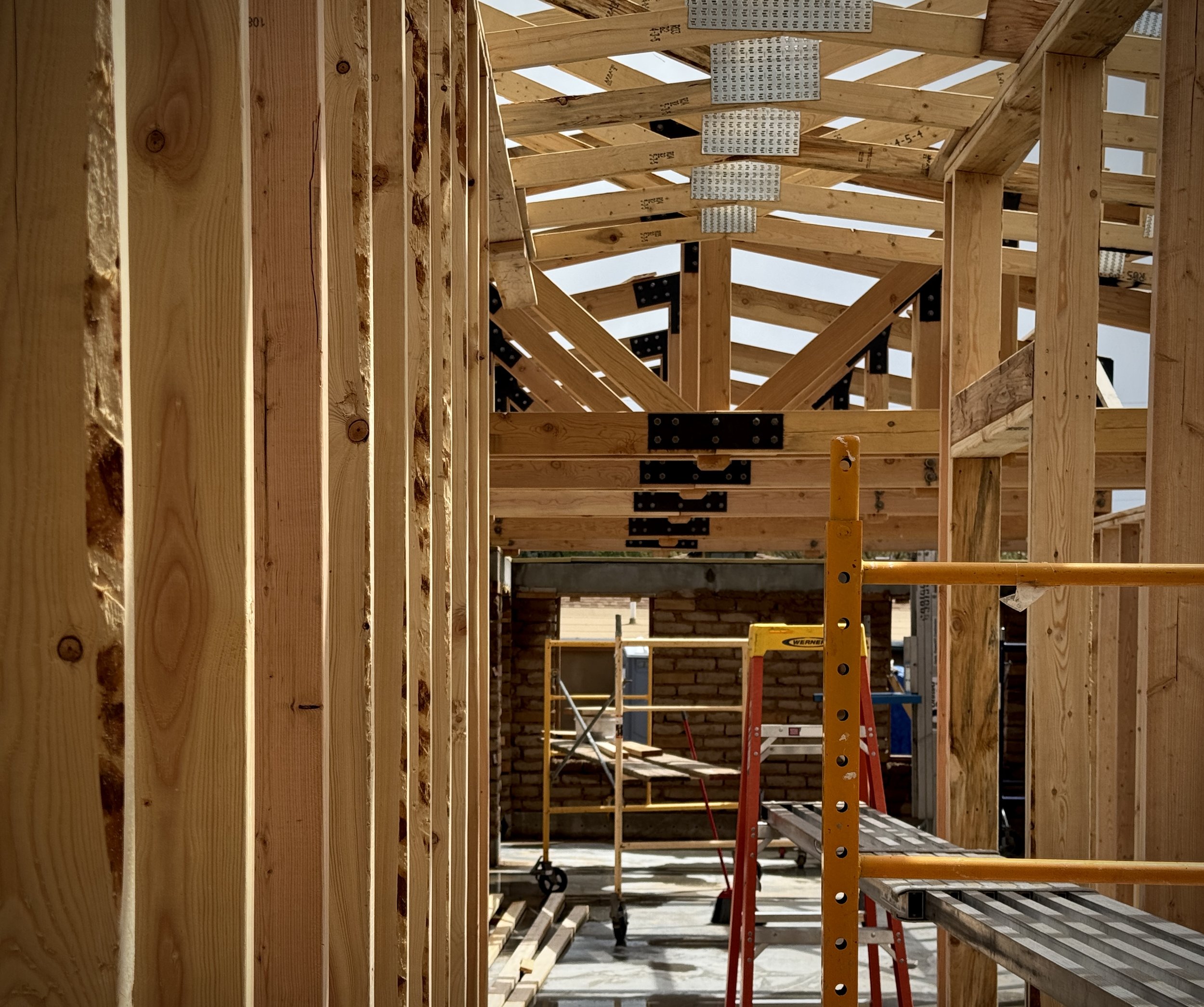 Photo May 05 2025, 14 50 09.jpg