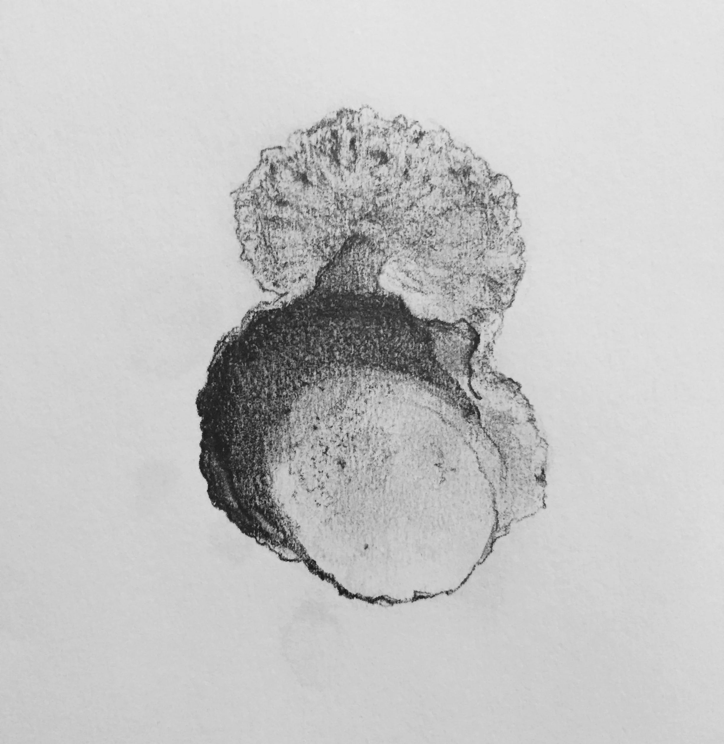 drawingvs2.jpg