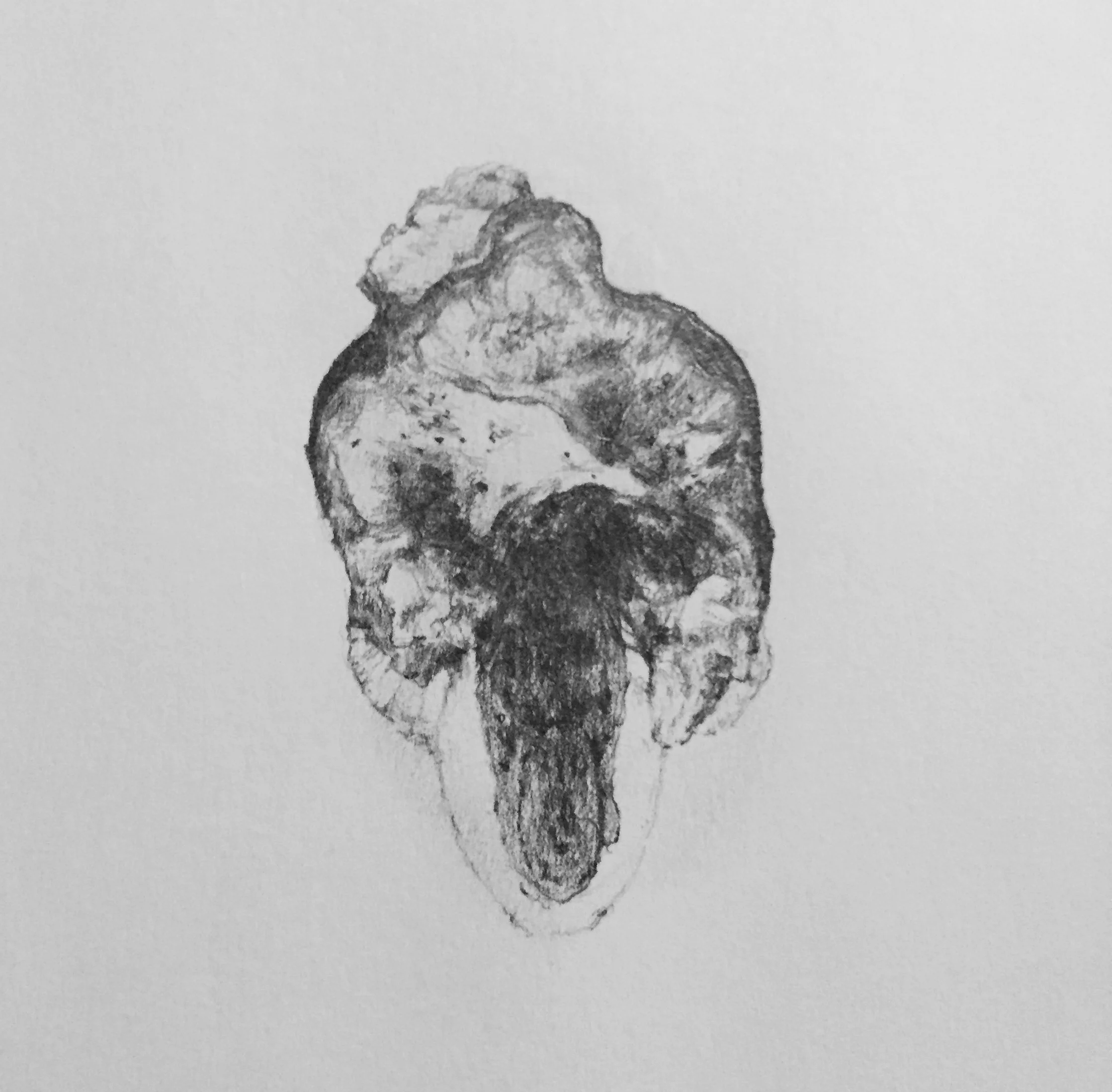 drawingvs10.jpg