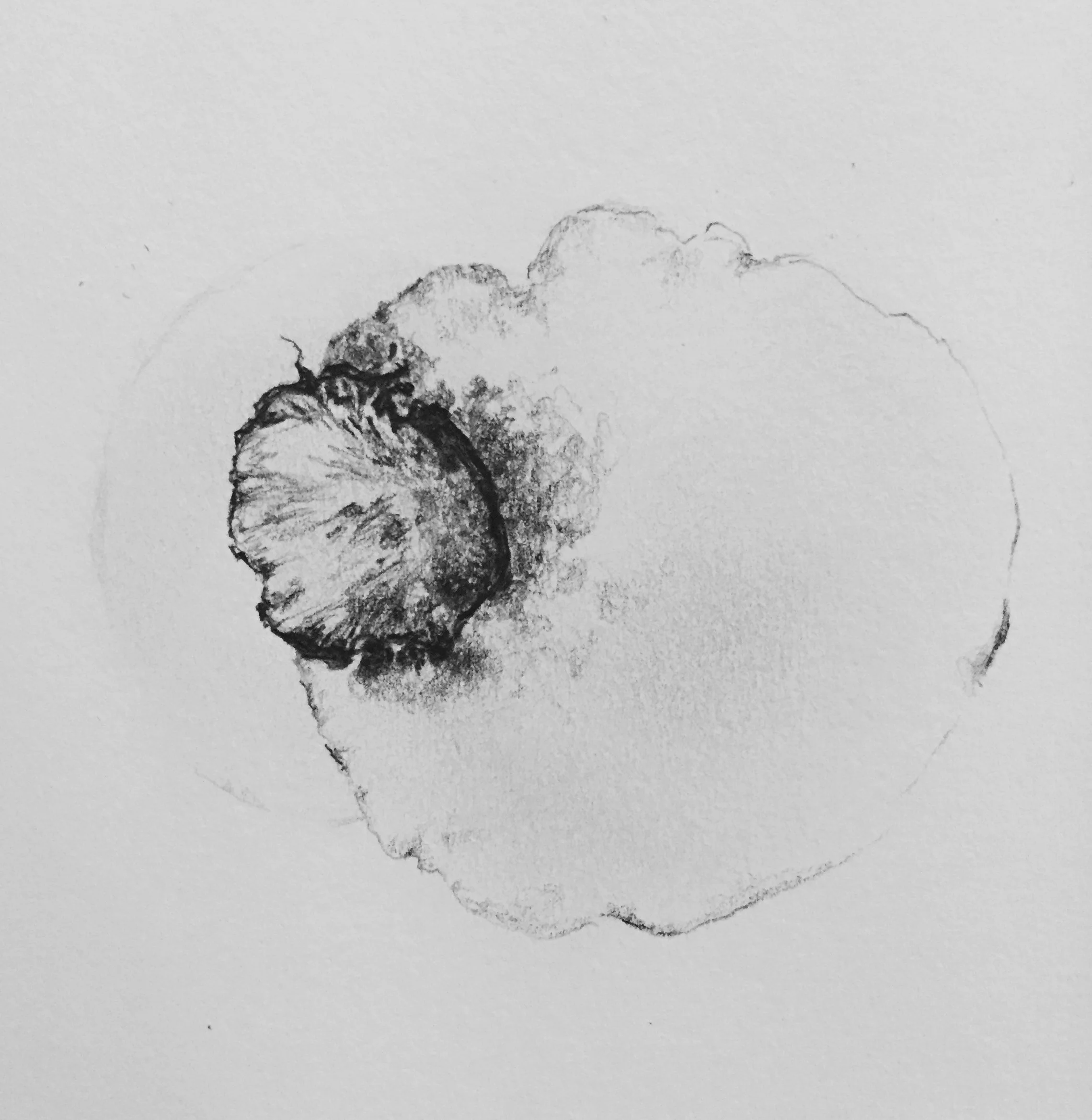 drawingvs11.jpg