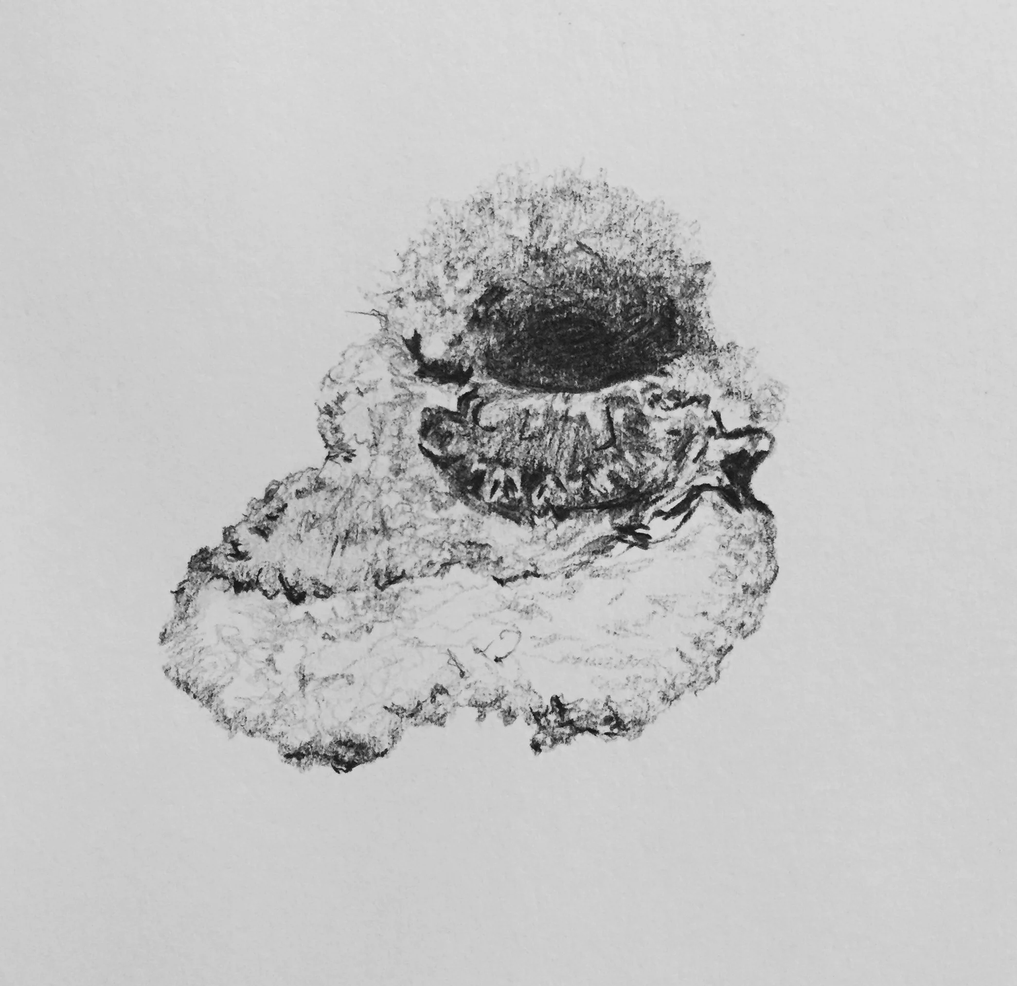 drawingvs12.jpg